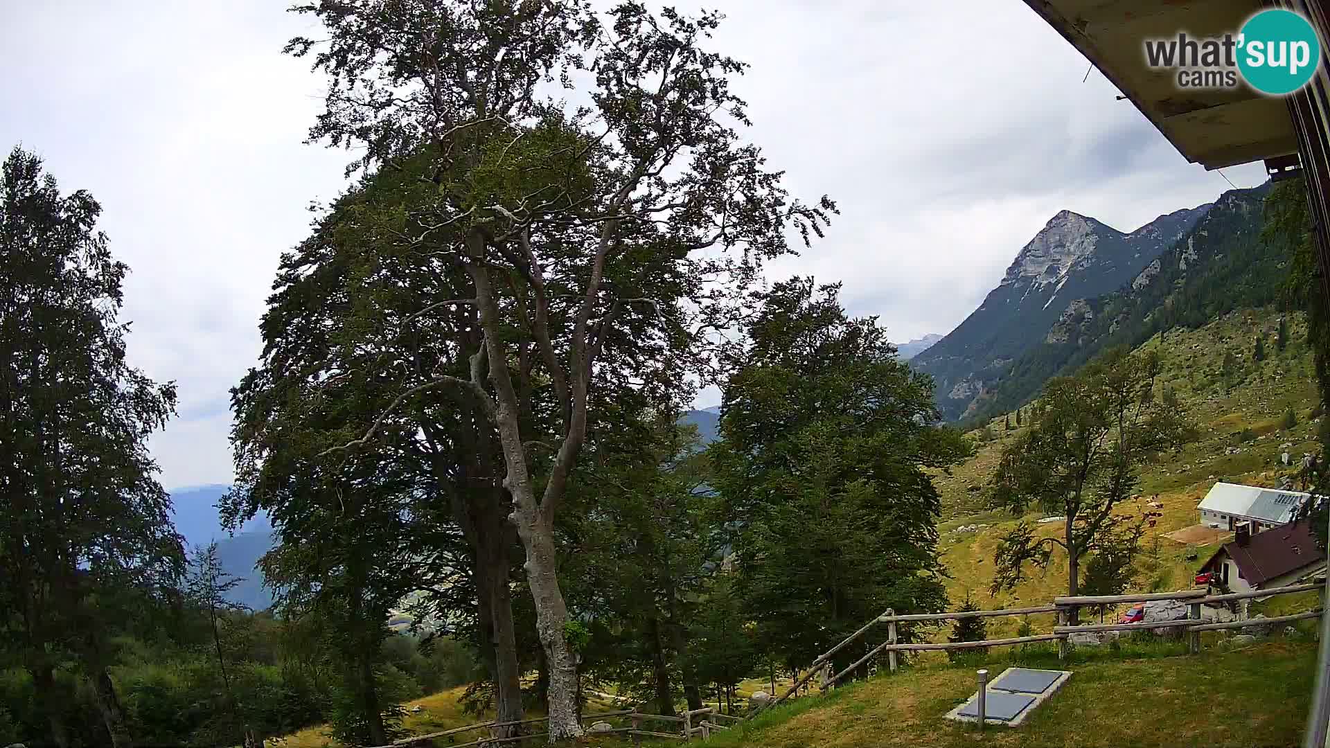 Planina Razor Mountain Hut live cam (1315) | view to Tolminski Migovec