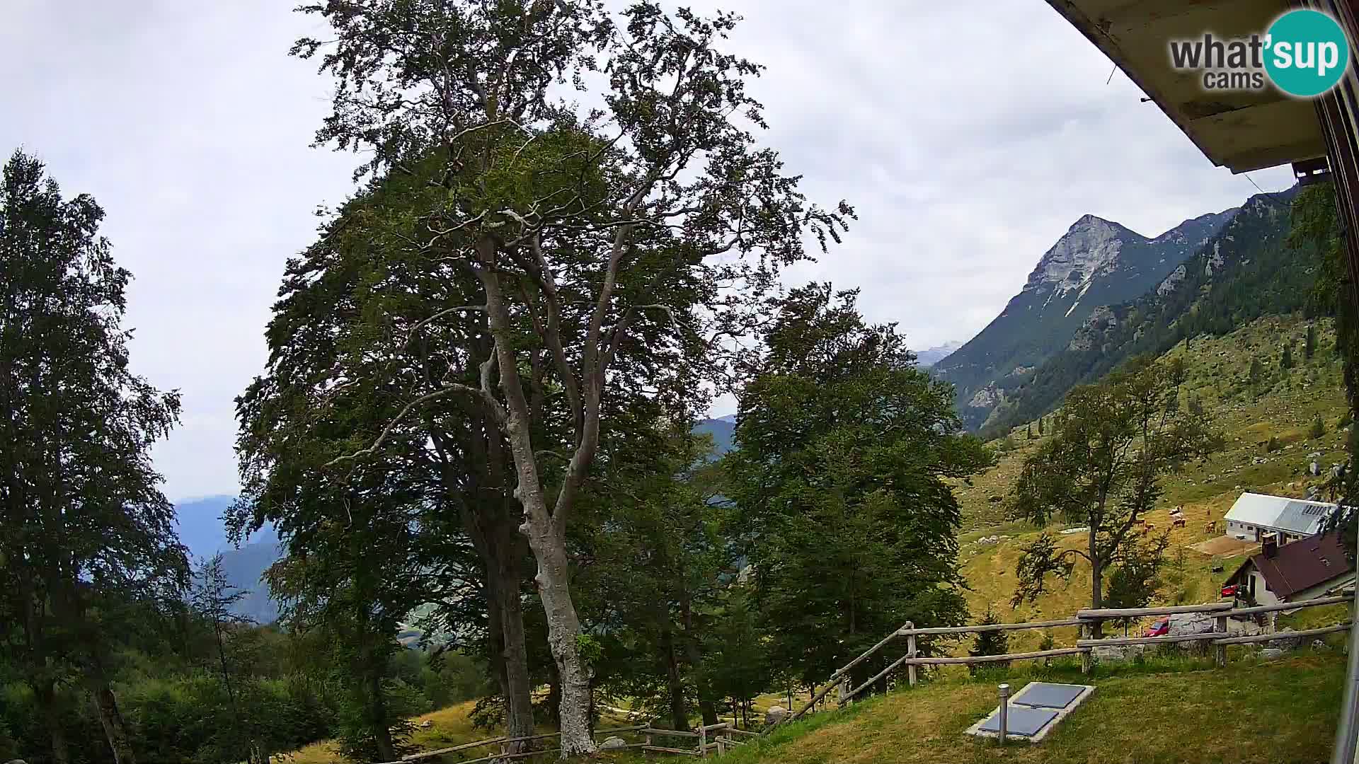 Planina Razor Bergütte Webcam (1315) | Blick auf Tolminski Migovec