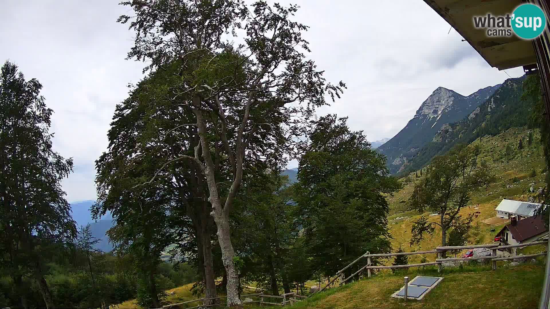 Planina Razor Mountain Hut live cam (1315) | view to Tolminski Migovec