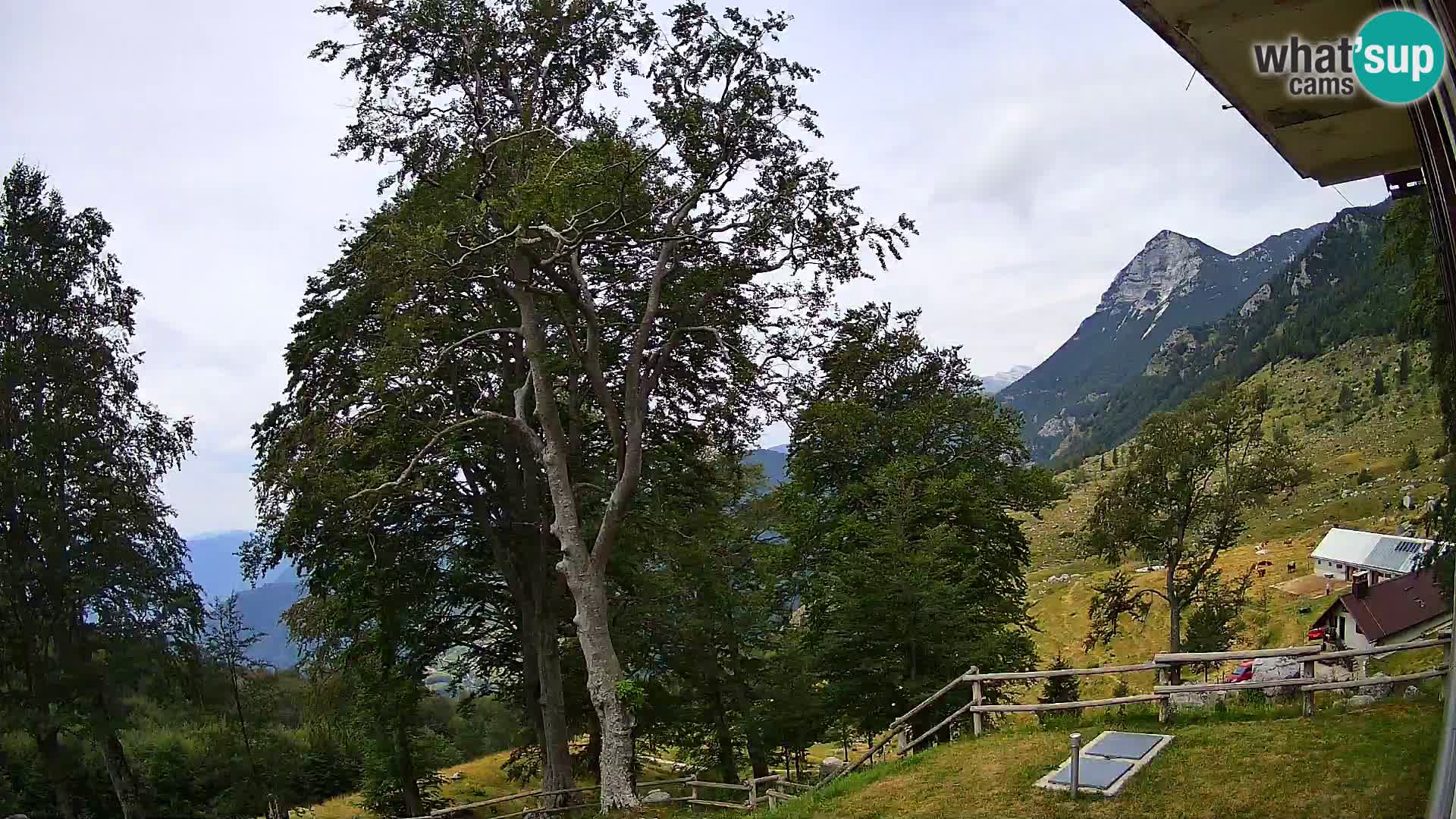 Cámara en vivo de la cabaña de montaña Planina Razor (1315) | vista hacia Tolminski Migovec