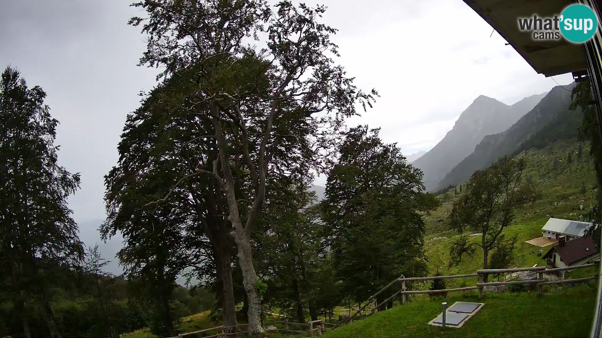 Baita di montagna Planina Razor webcam (1315) | vista su Tolminski Migovec