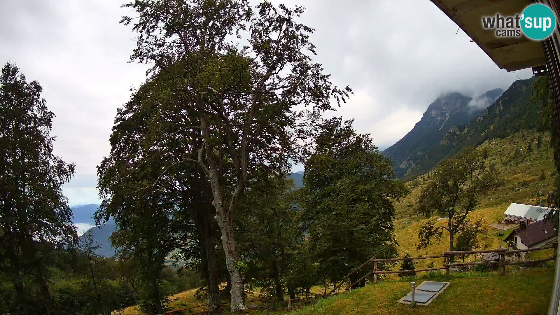Planina Razor Bergütte Webcam (1315) | Blick auf Tolminski Migovec
