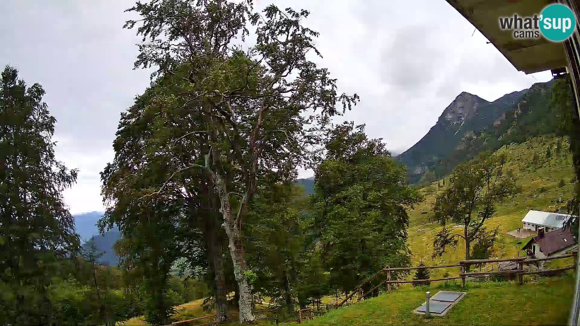 Baita di montagna Planina Razor webcam (1315) | vista su Tolminski Migovec
