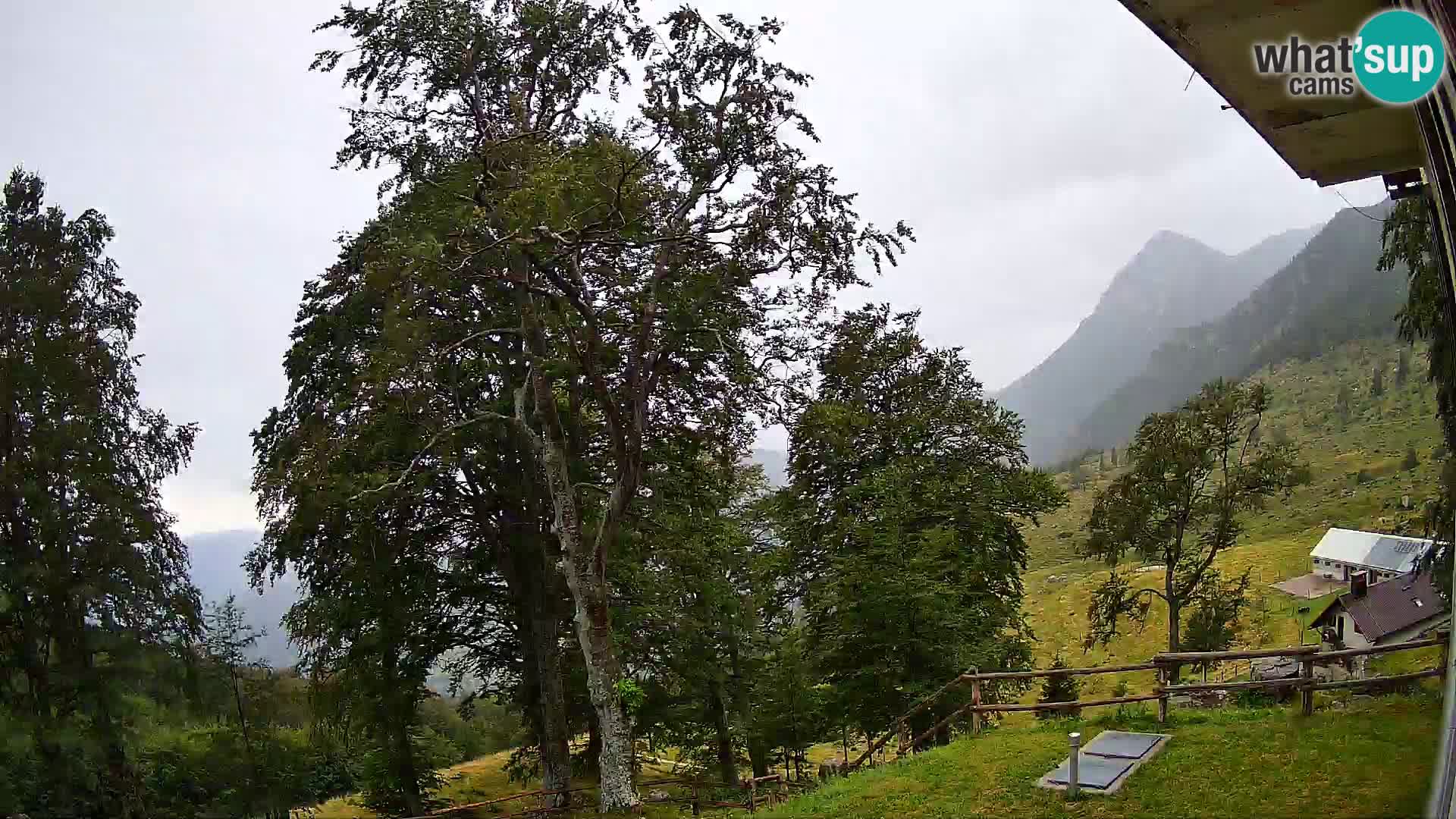 Planina Razor Mountain Hut live cam (1315) | view to Tolminski Migovec