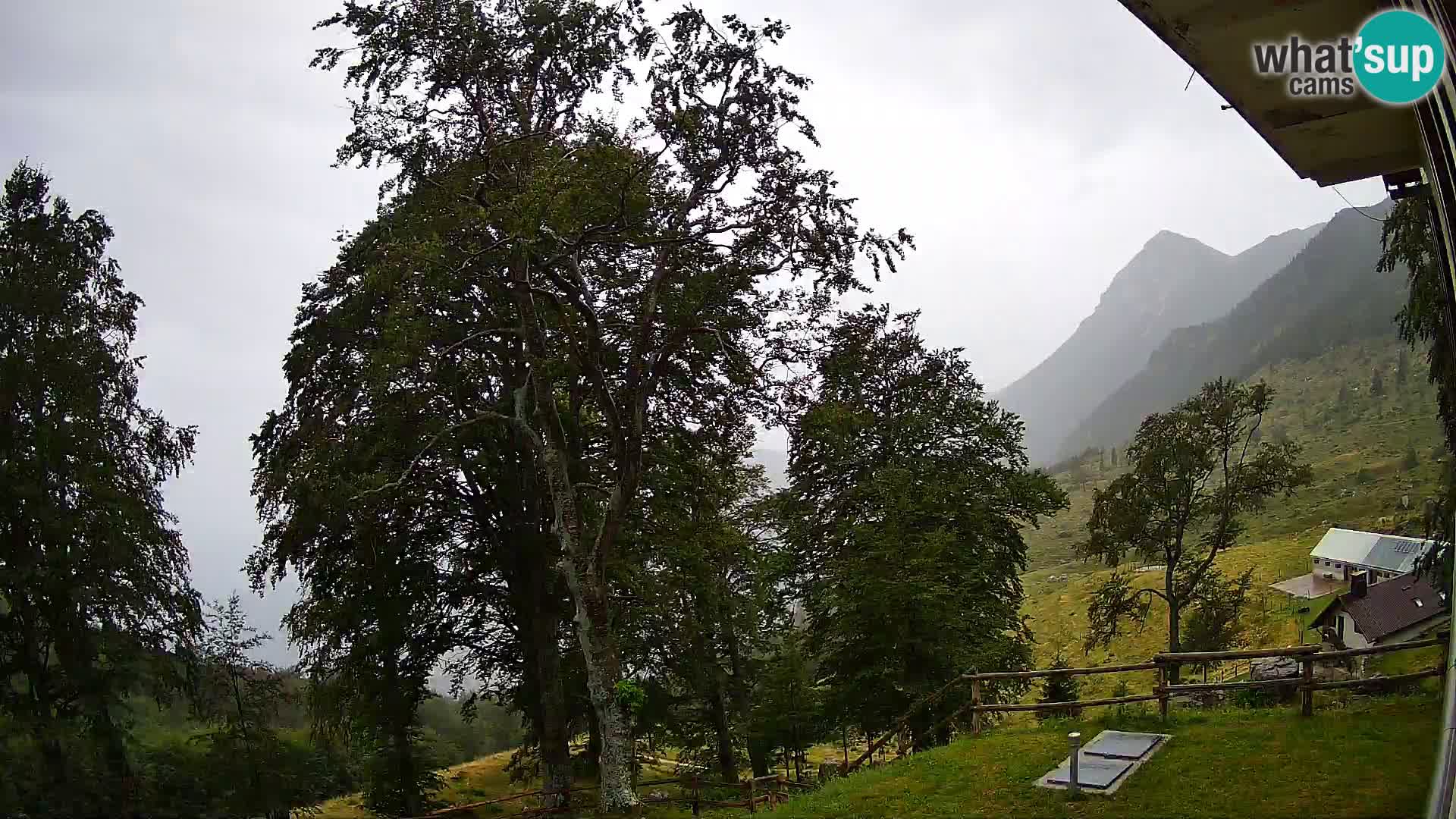 Baita di montagna Planina Razor webcam (1315) | vista su Tolminski Migovec