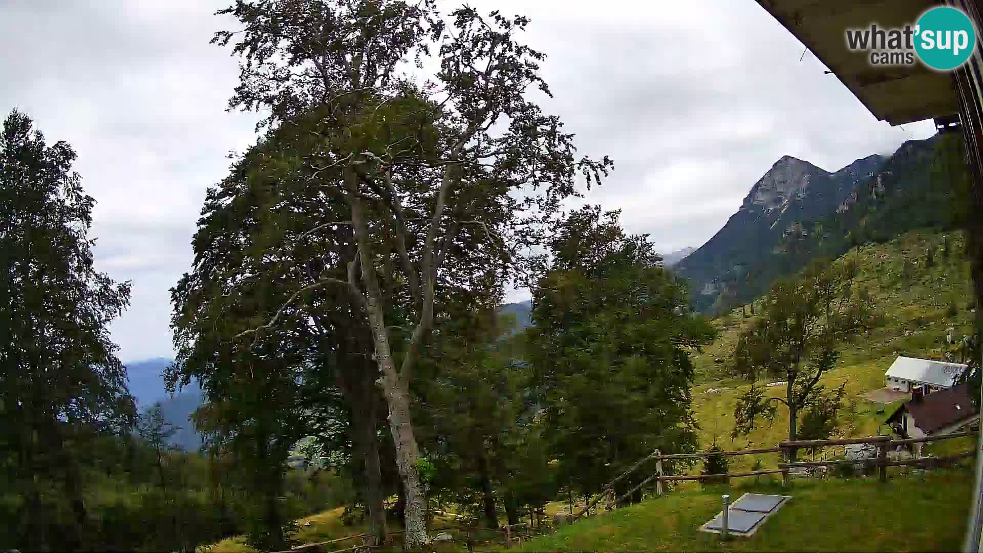 Planina Razor Bergütte Webcam (1315) | Blick auf Tolminski Migovec