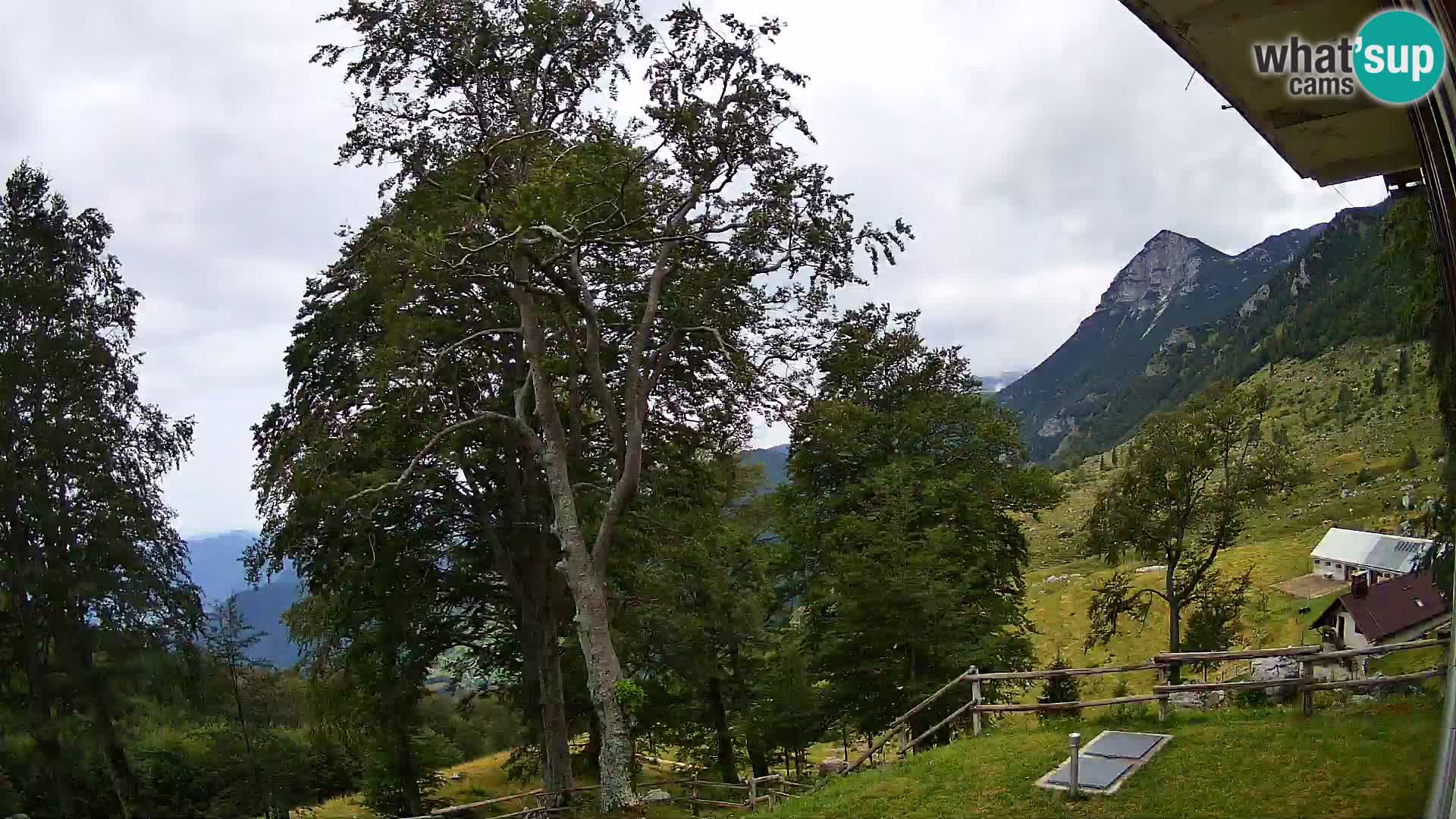 Planina Razor Bergütte Webcam (1315) | Blick auf Tolminski Migovec