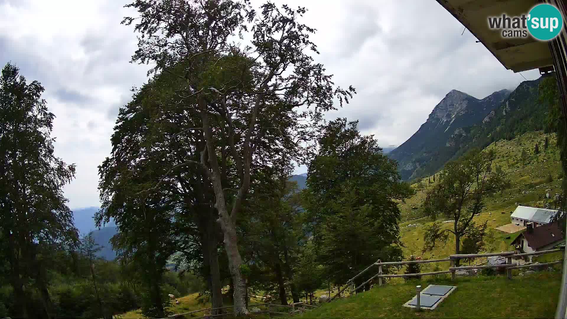 Planina Razor Mountain Hut live cam (1315) | view to Tolminski Migovec