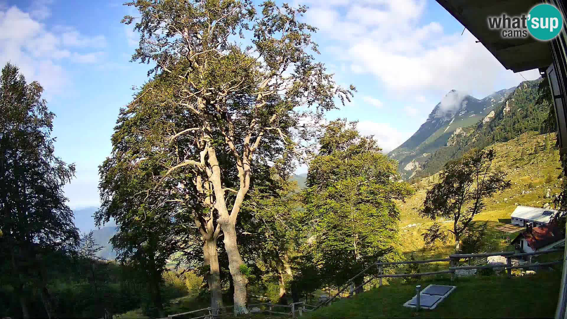 Baita di montagna Planina Razor webcam (1315) | vista su Tolminski Migovec