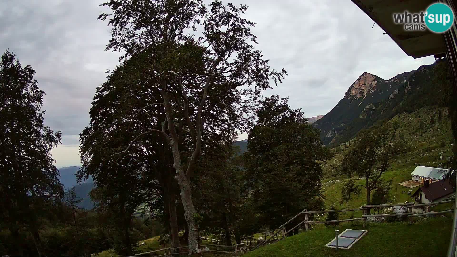 Planina Razor Bergütte Webcam (1315) | Blick auf Tolminski Migovec