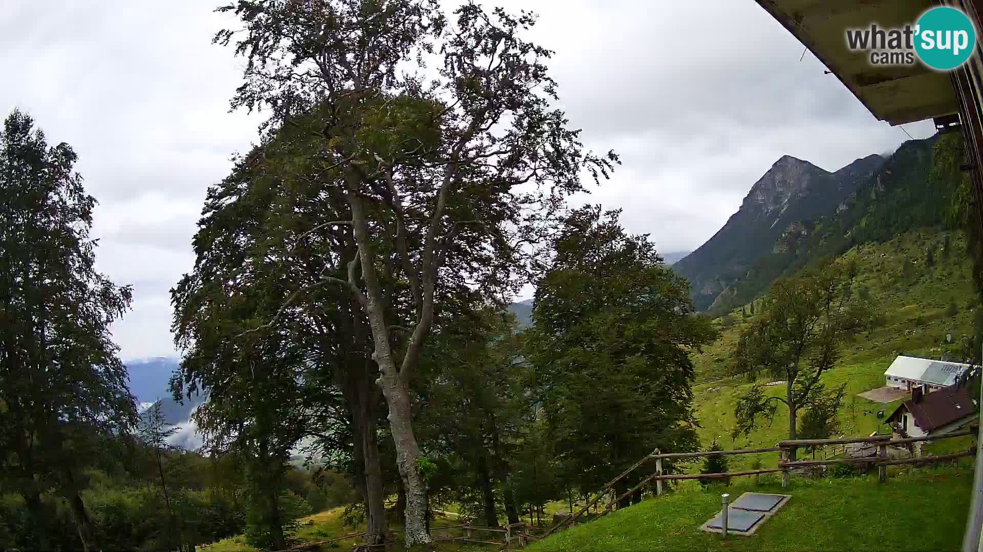 Planina Razor Mountain Hut live cam (1315) | view to Tolminski Migovec