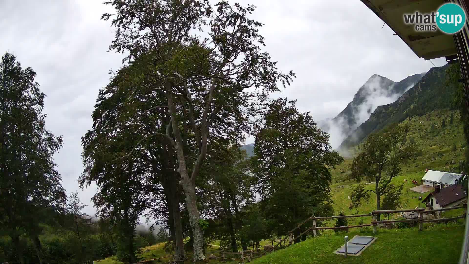 Baita di montagna Planina Razor webcam (1315) | vista su Tolminski Migovec