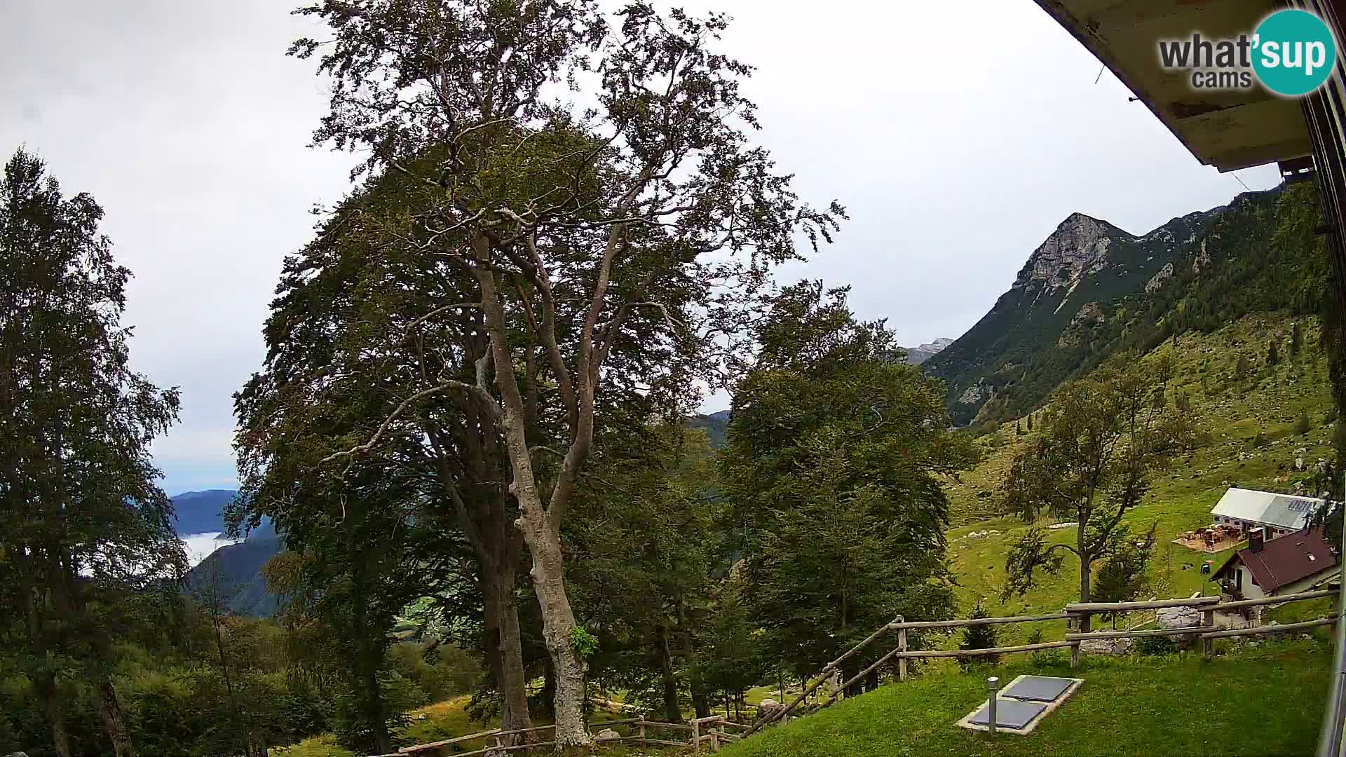 Baita di montagna Planina Razor webcam (1315) | vista su Tolminski Migovec