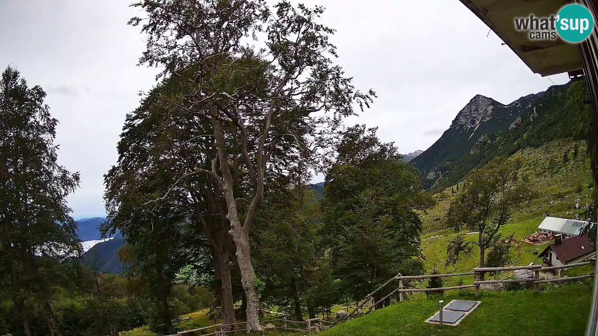 Baita di montagna Planina Razor webcam (1315) | vista su Tolminski Migovec