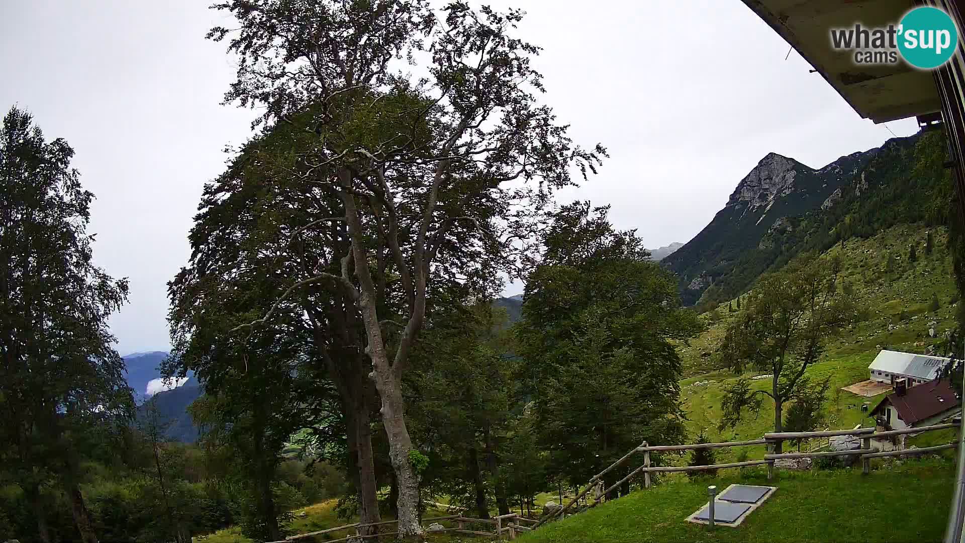 Baita di montagna Planina Razor webcam (1315) | vista su Tolminski Migovec