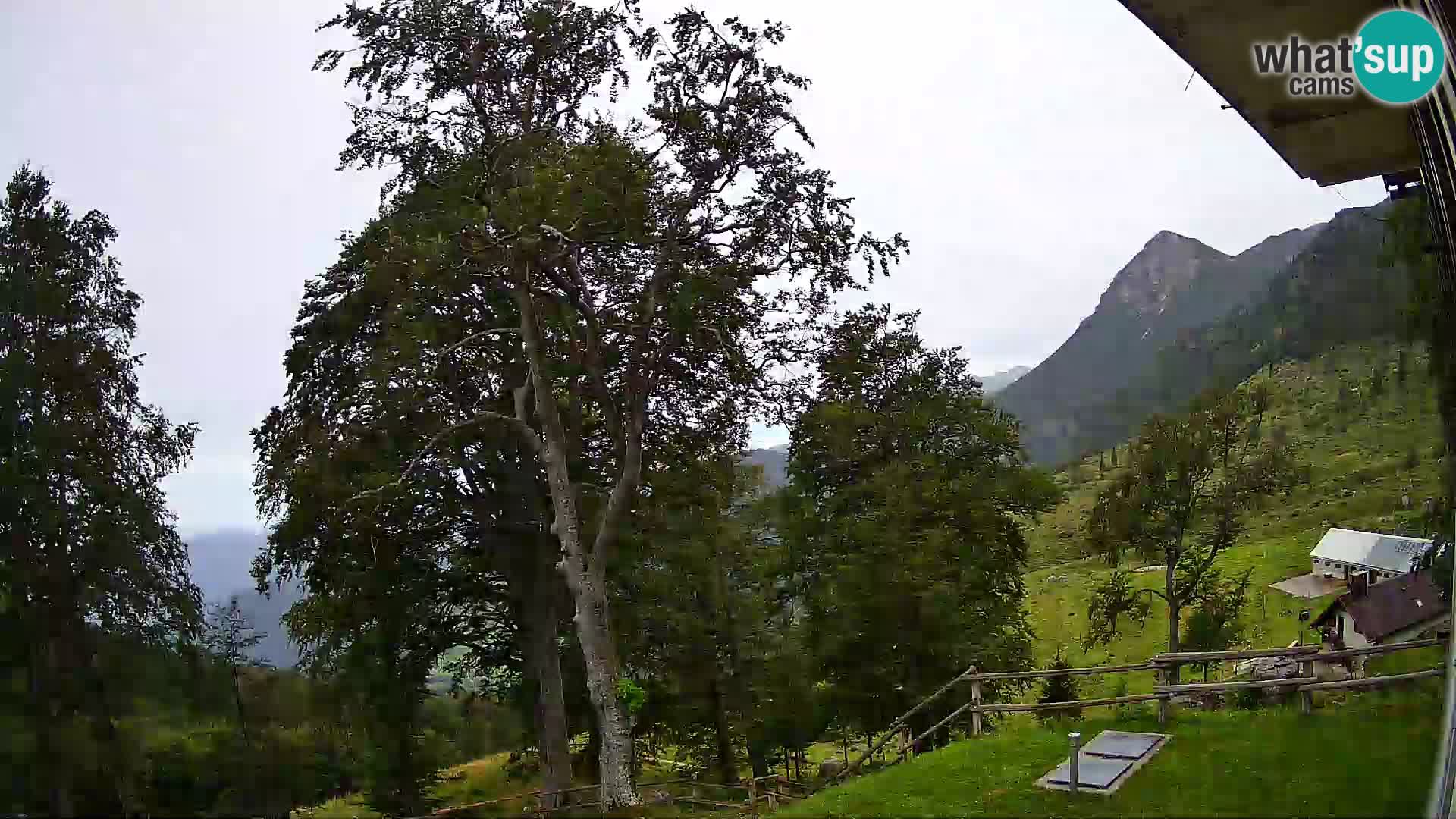 Baita di montagna Planina Razor webcam (1315) | vista su Tolminski Migovec