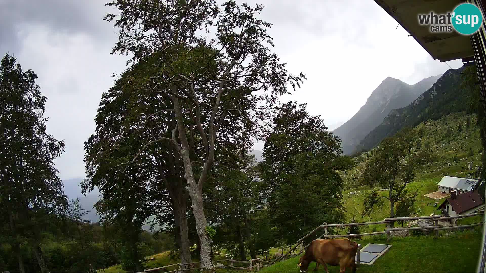 Planina Razor Mountain Hut live cam (1315) | view to Tolminski Migovec