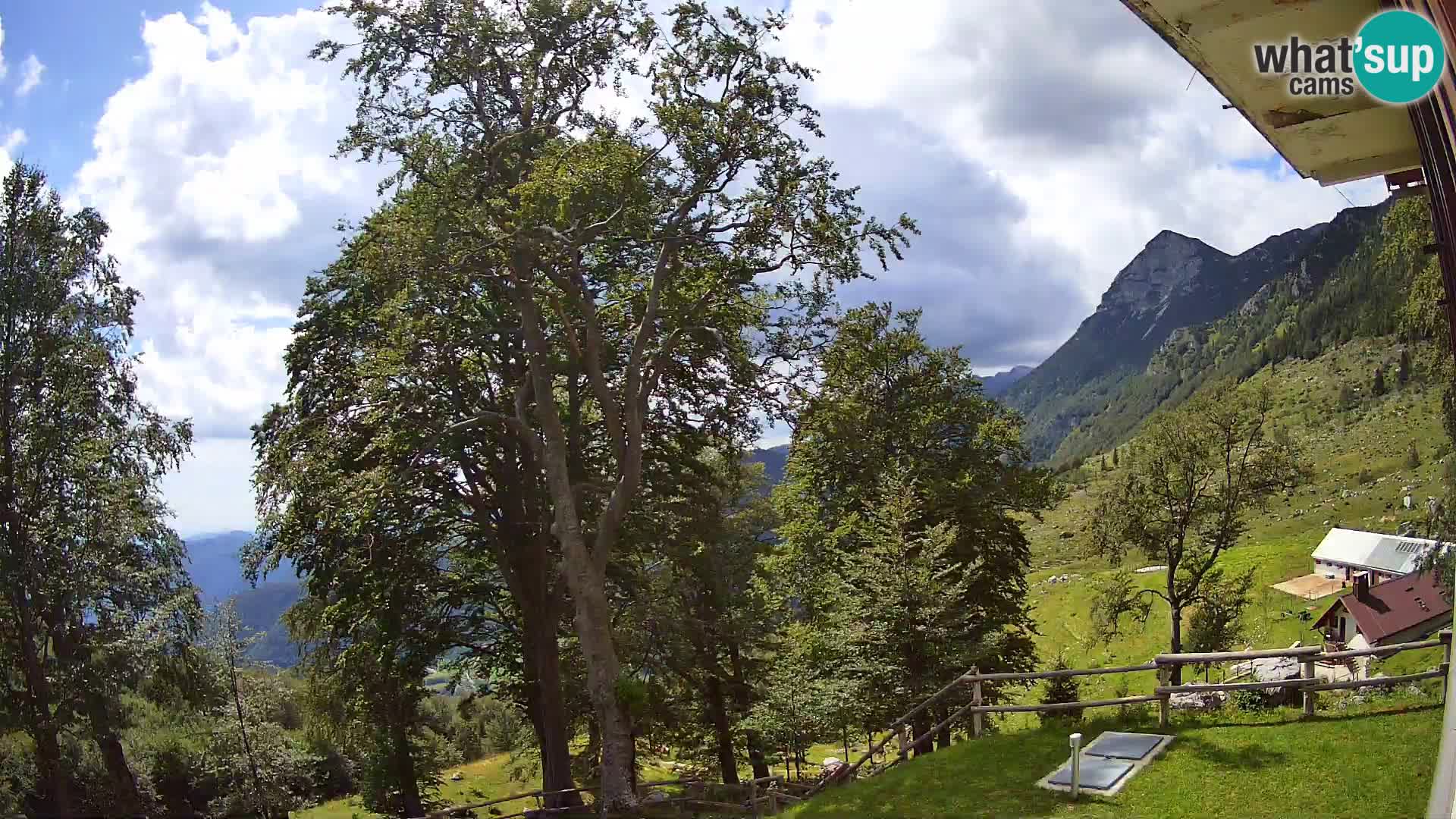 Planina Razor Bergütte Webcam (1315) | Blick auf Tolminski Migovec