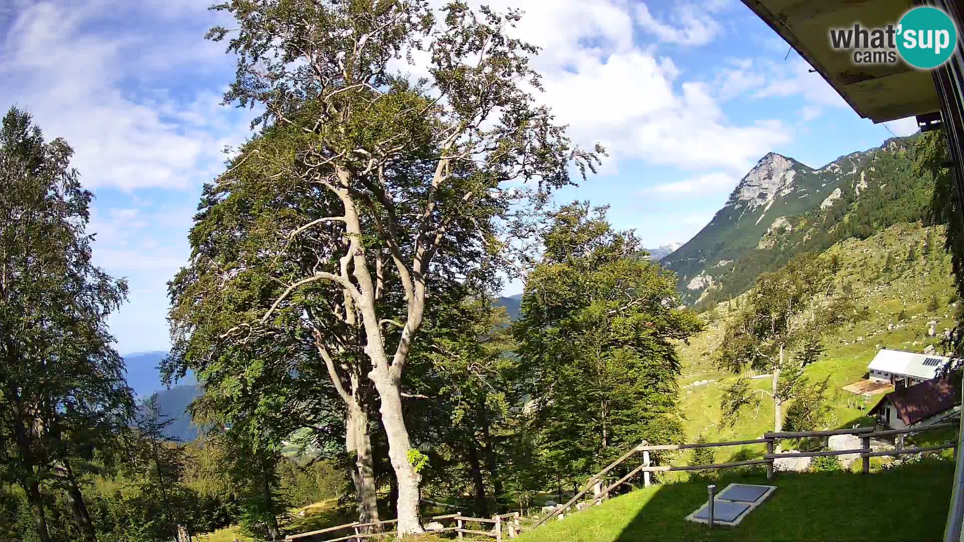 Planina Razor Bergütte Webcam (1315) | Blick auf Tolminski Migovec