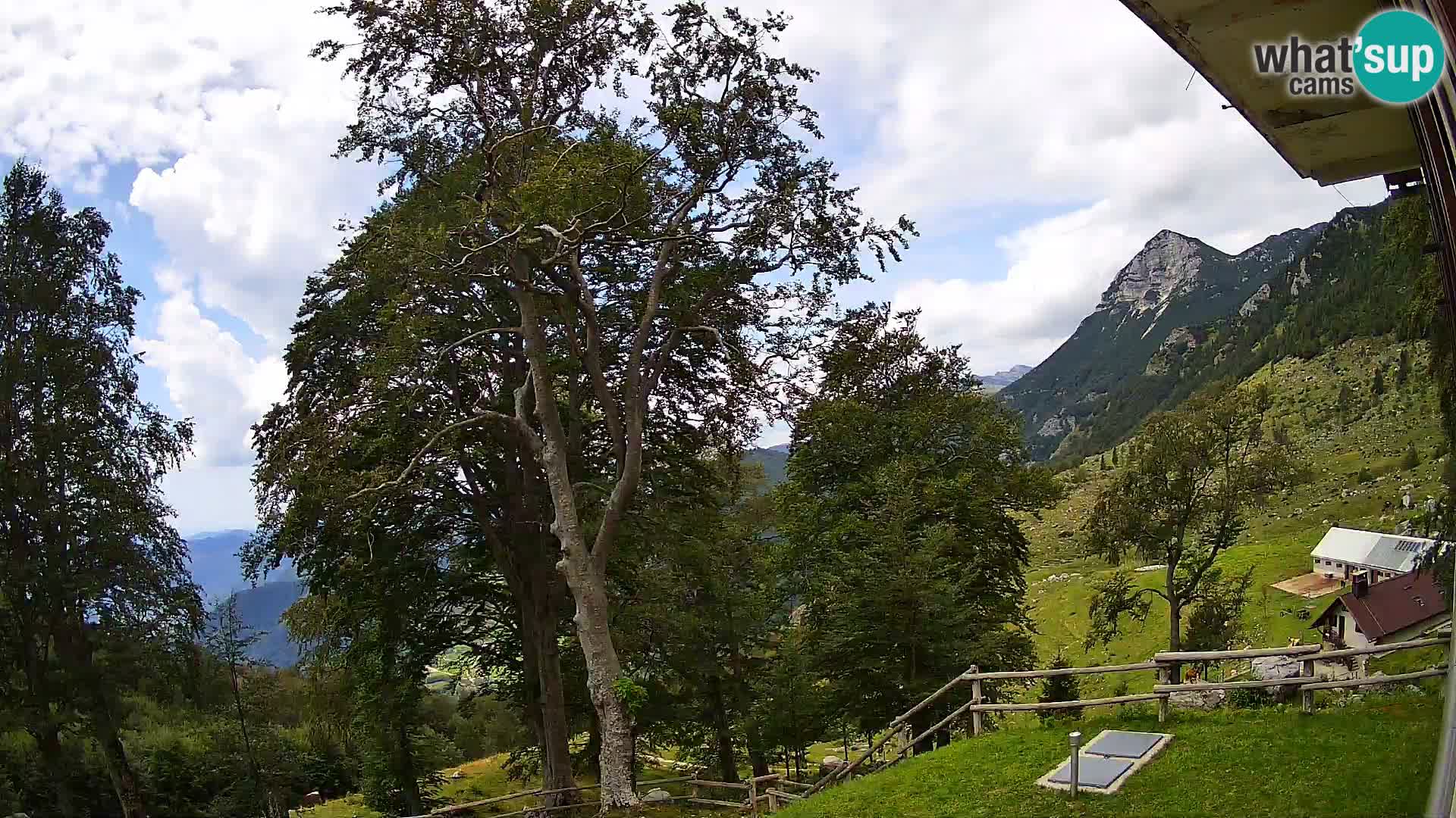 Planina Razor Bergütte Webcam (1315) | Blick auf Tolminski Migovec