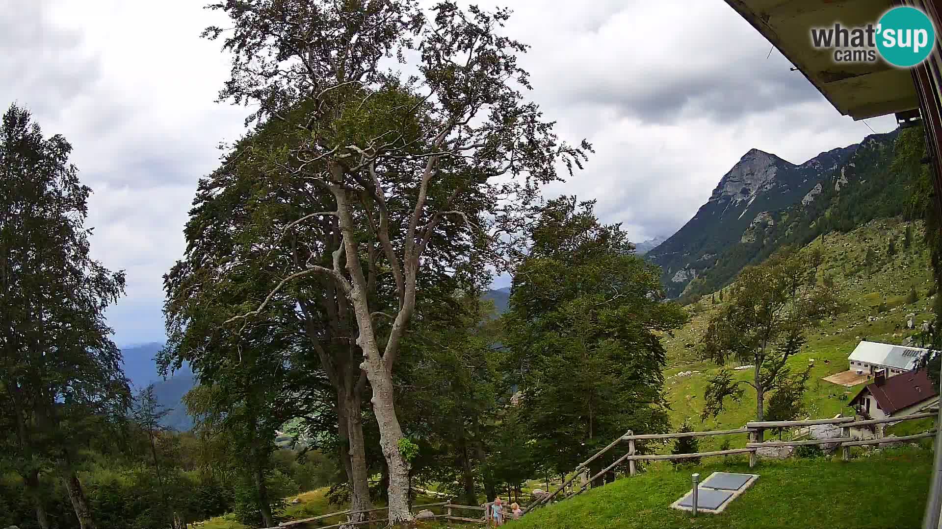 Planina Razor Bergütte Webcam (1315) | Blick auf Tolminski Migovec