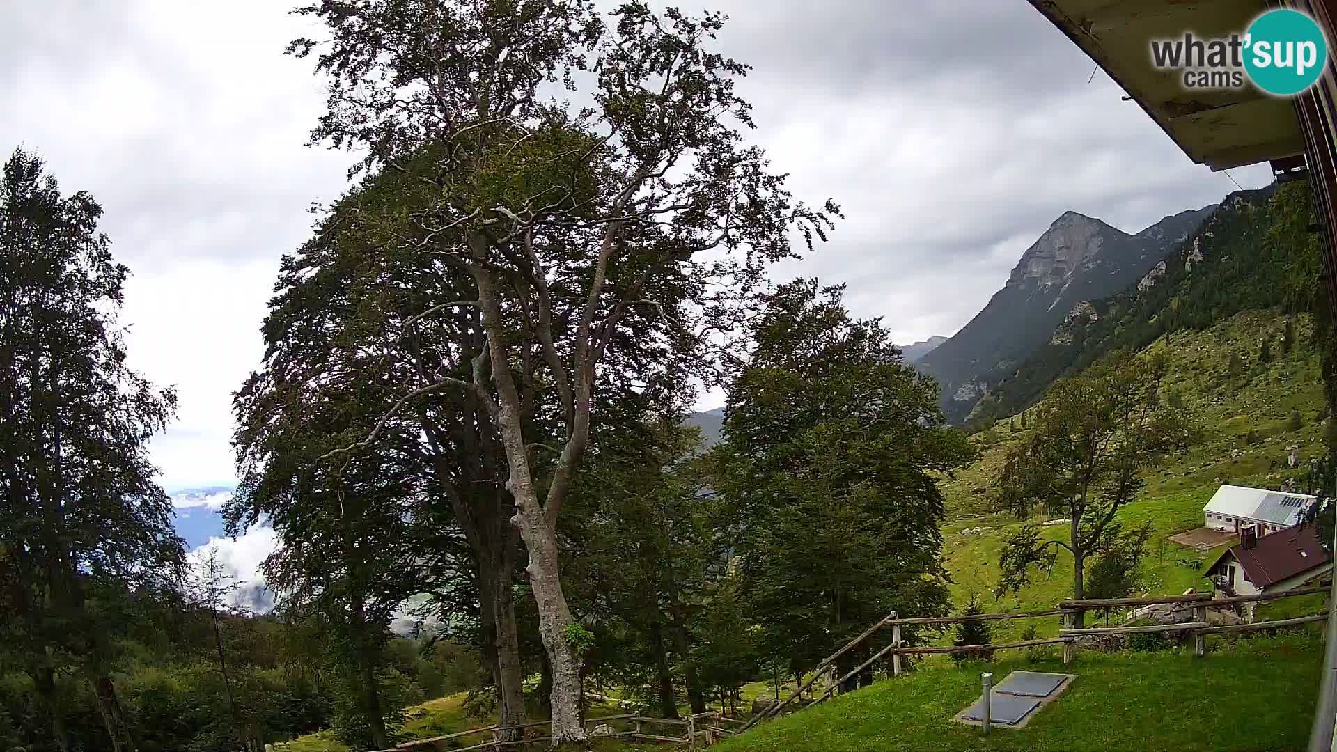 Planina Razor Bergütte Webcam (1315) | Blick auf Tolminski Migovec