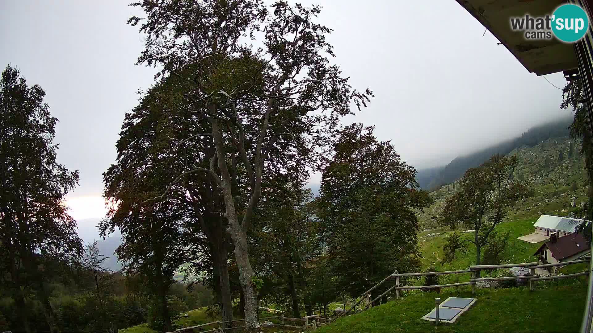 Planina Razor Bergütte Webcam (1315) | Blick auf Tolminski Migovec