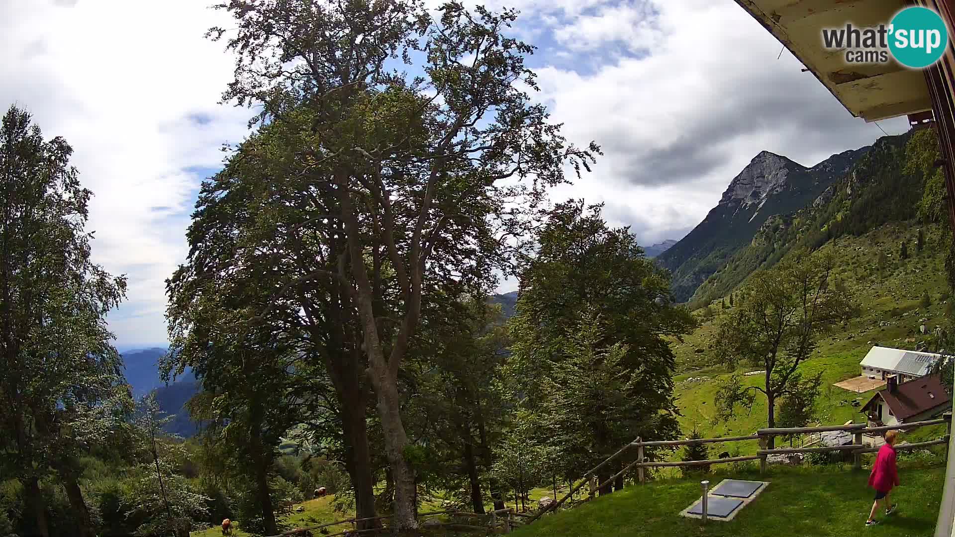 Planina Razor Bergütte Webcam (1315) | Blick auf Tolminski Migovec