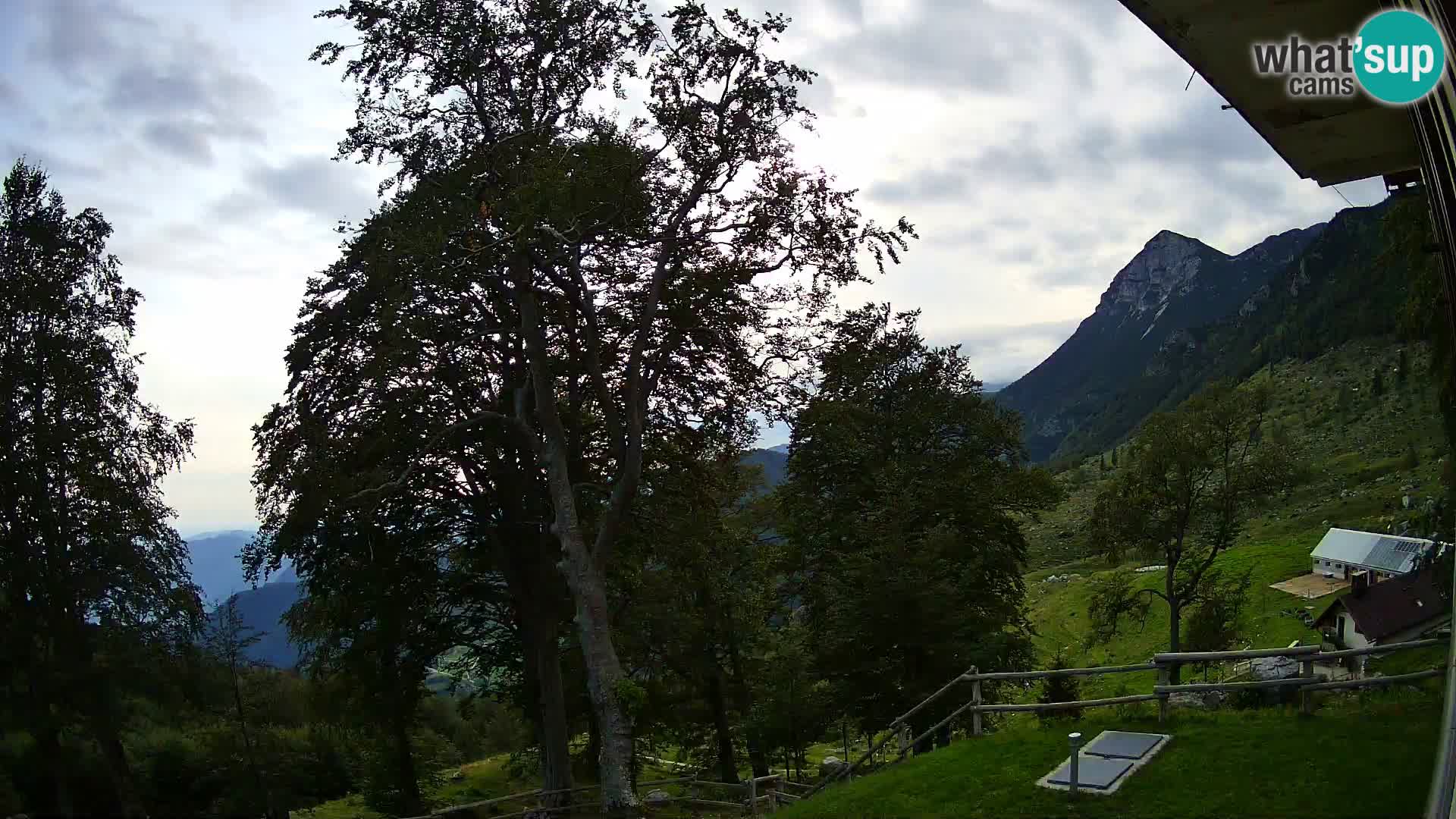 Planina Razor Bergütte Webcam (1315) | Blick auf Tolminski Migovec