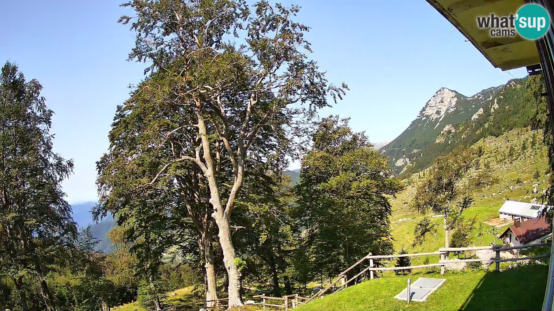 Planina Razor Bergütte Webcam (1315) | Blick auf Tolminski Migovec