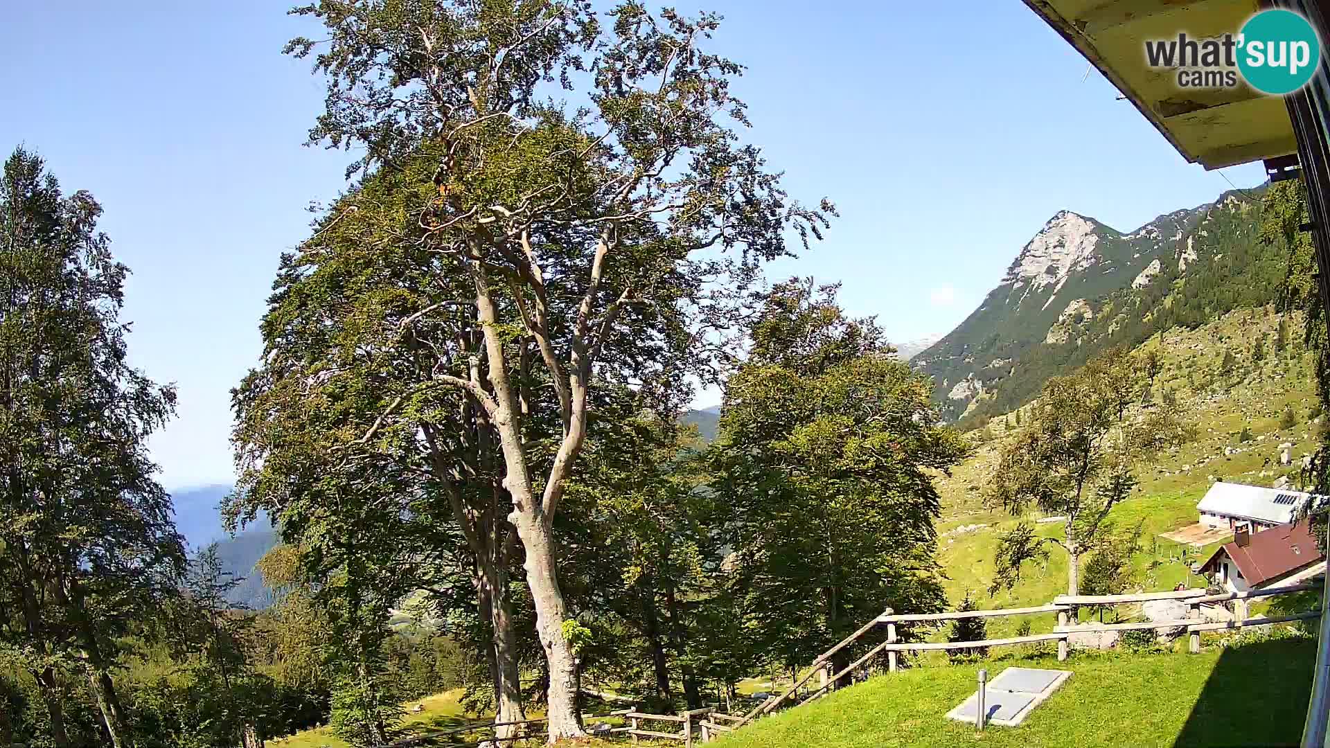 Refuge de la montagne Planina Razor caméra en direct (1315) | vue sur Tolminski Migovec