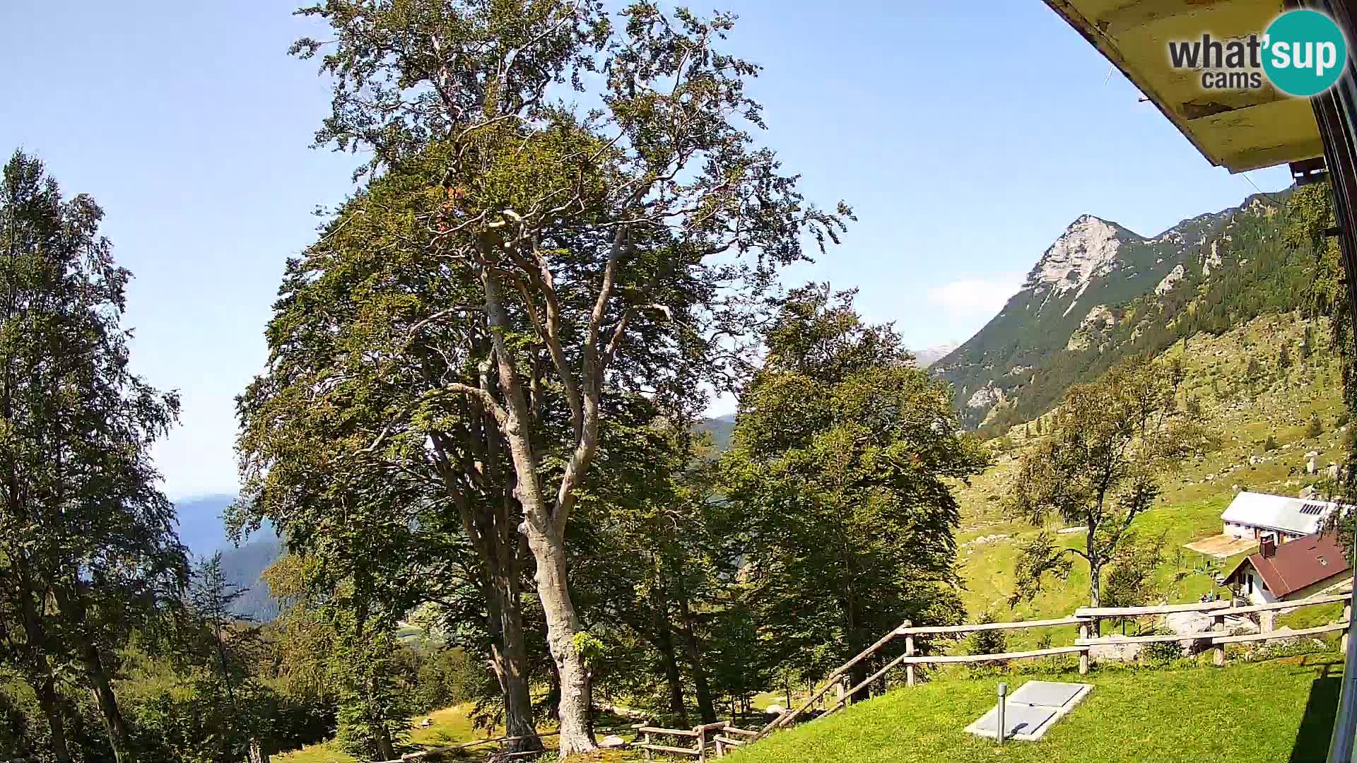 Planina Razor Mountain Hut live cam (1315) | view to Tolminski Migovec
