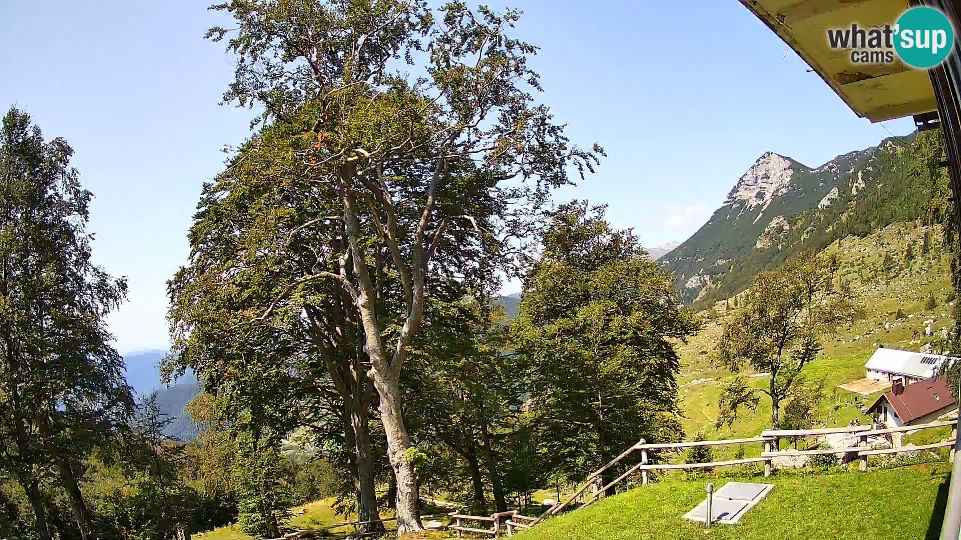 Planina Razor Bergütte Webcam (1315) | Blick auf Tolminski Migovec