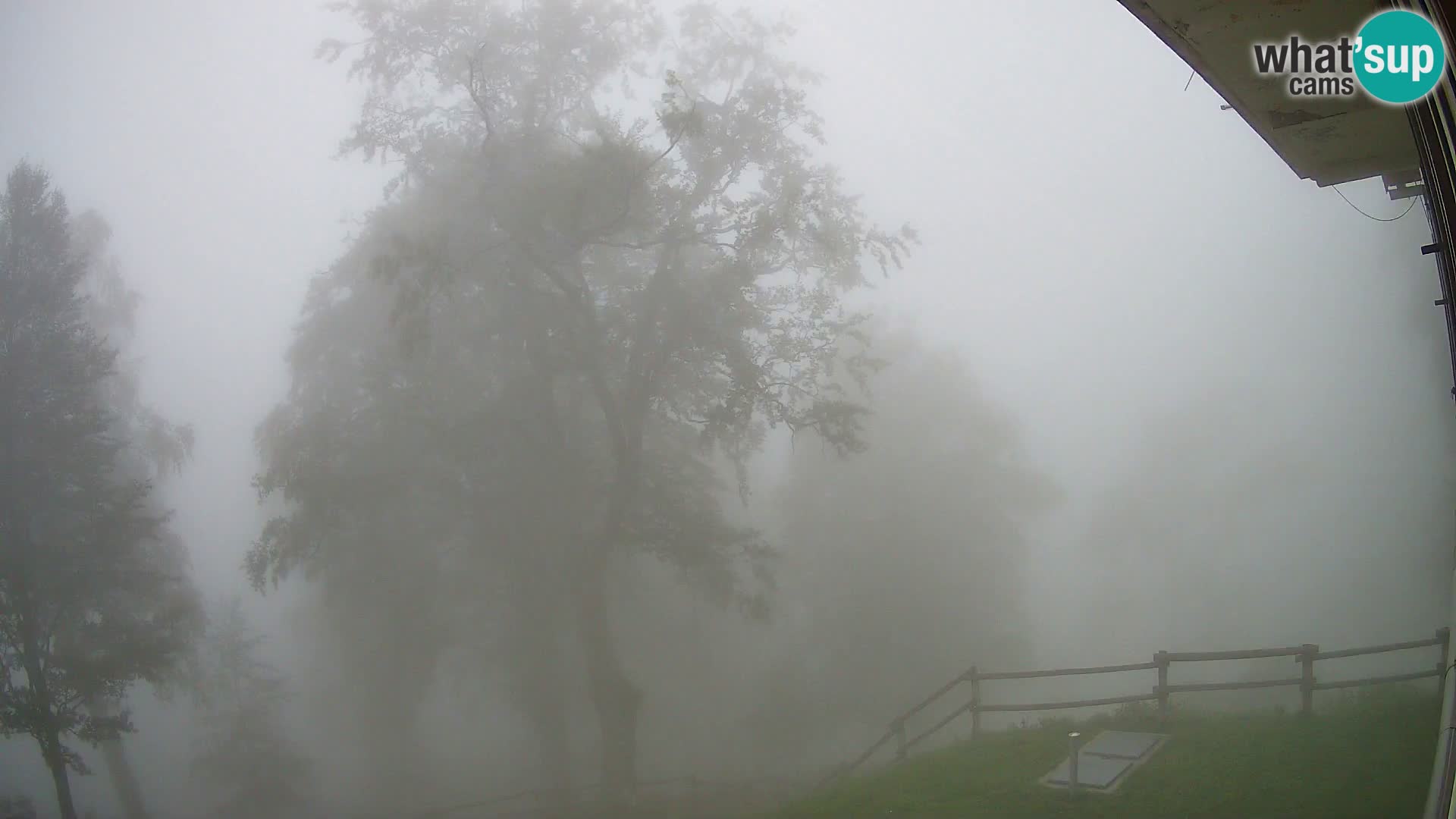 Baita di montagna Planina Razor webcam (1315) | vista su Tolminski Migovec
