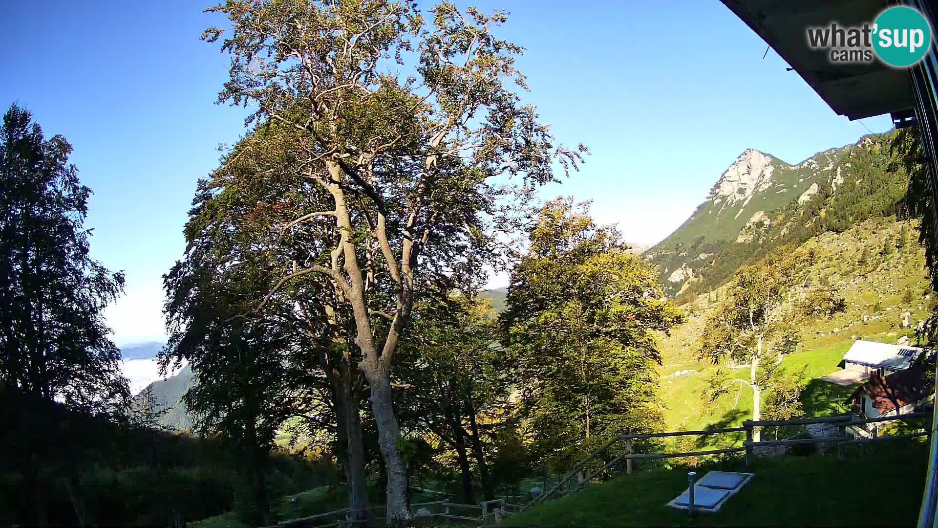 Refuge de la montagne Planina Razor caméra en direct (1315) | vue sur Tolminski Migovec