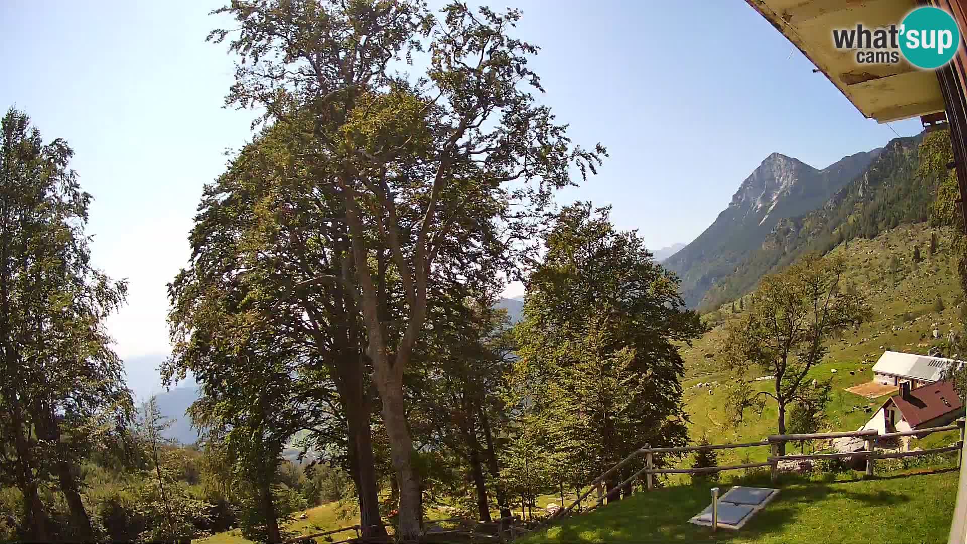 Planina Razor Bergütte Webcam (1315) | Blick auf Tolminski Migovec