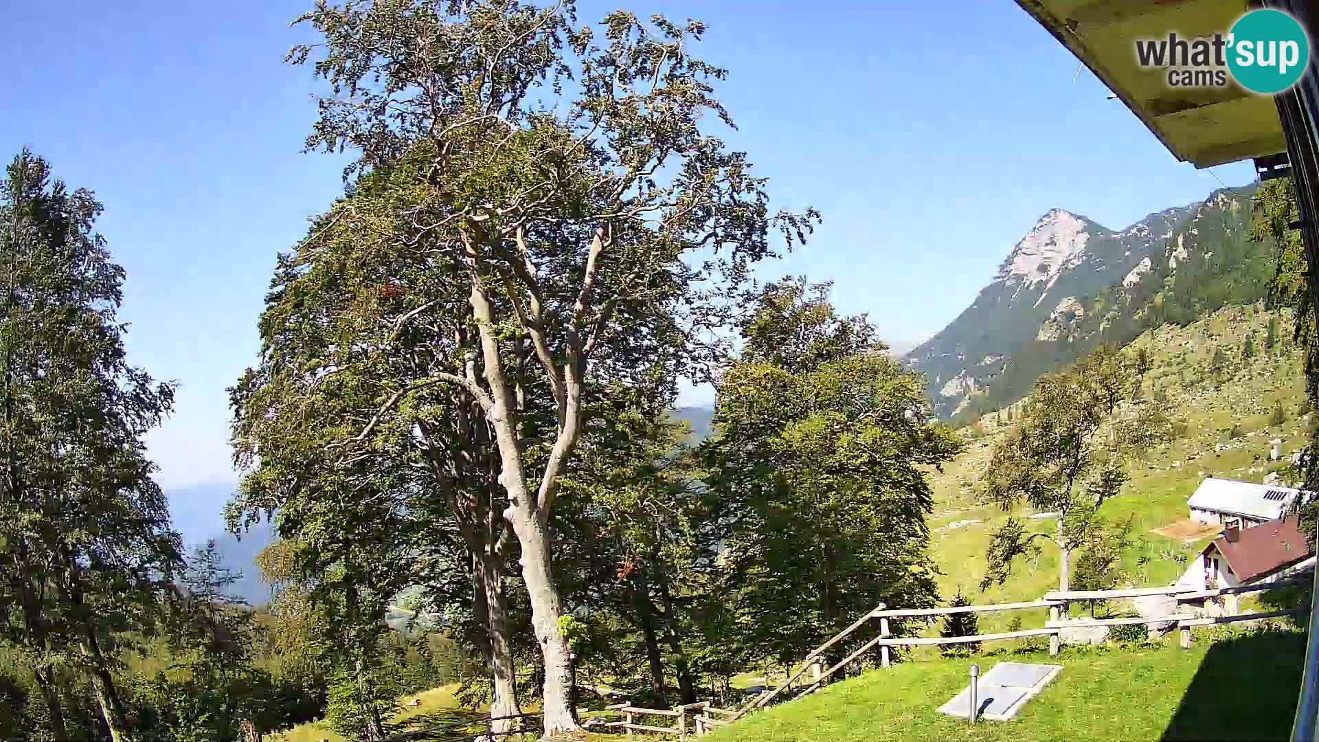 Baita di montagna Planina Razor webcam (1315) | vista su Tolminski Migovec