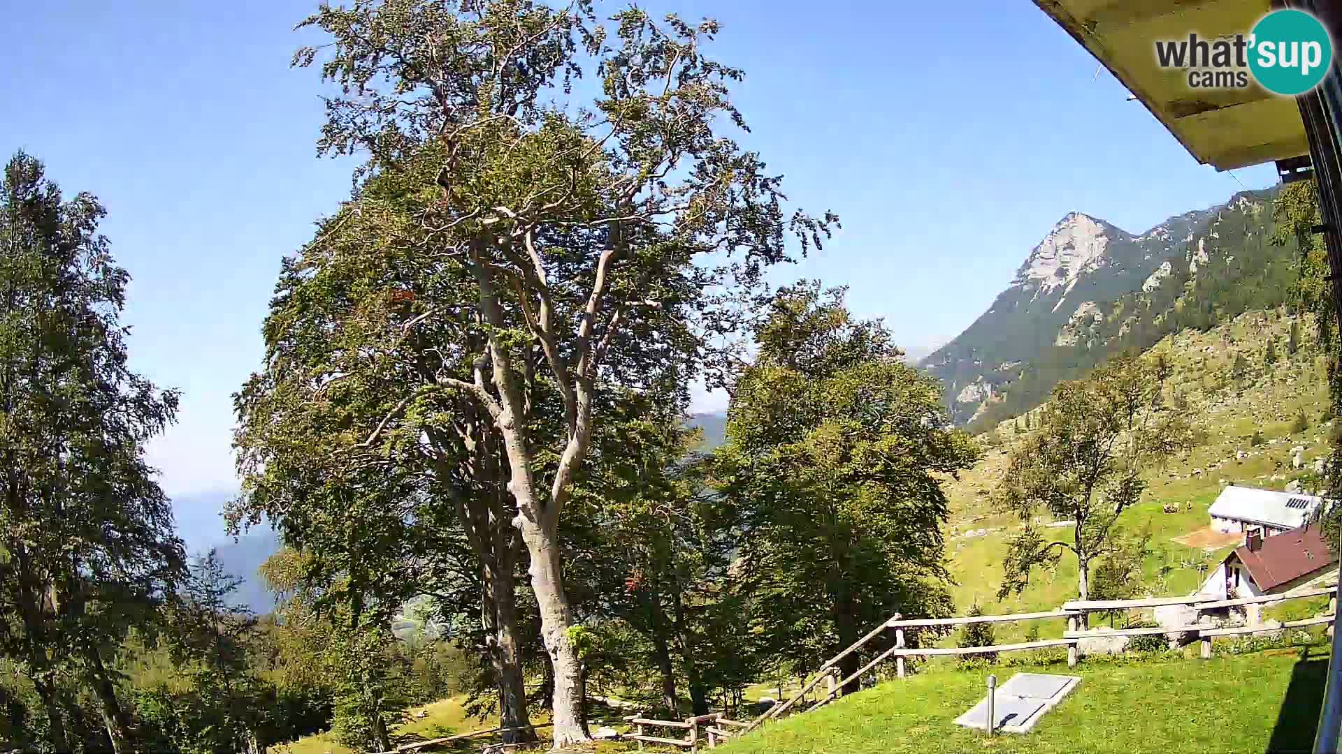 Baita di montagna Planina Razor webcam (1315) | vista su Tolminski Migovec
