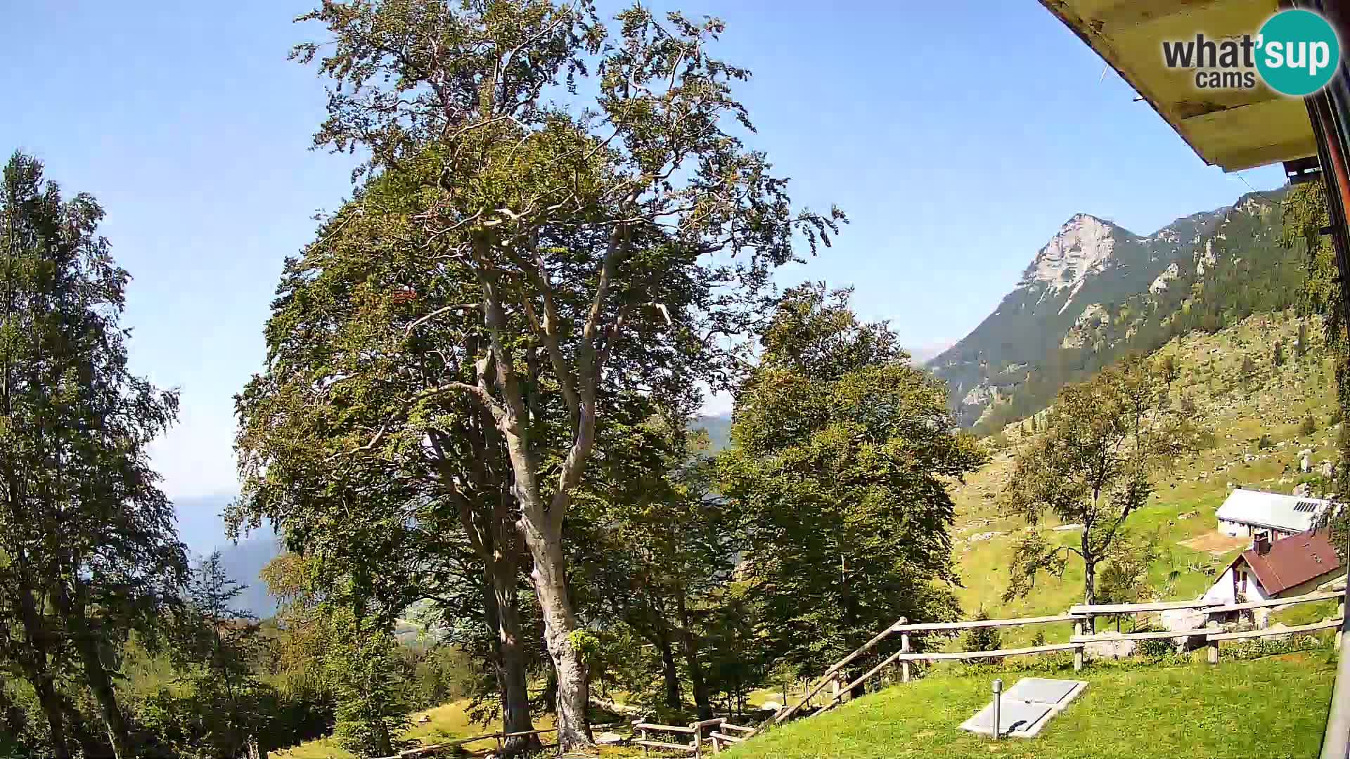 Planina Razor Bergütte Webcam (1315) | Blick auf Tolminski Migovec
