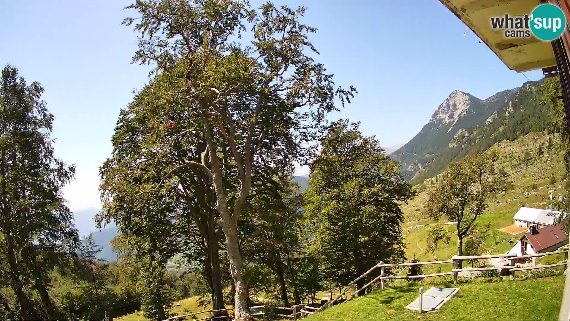 Planina Razor Bergütte Webcam (1315) | Blick auf Tolminski Migovec
