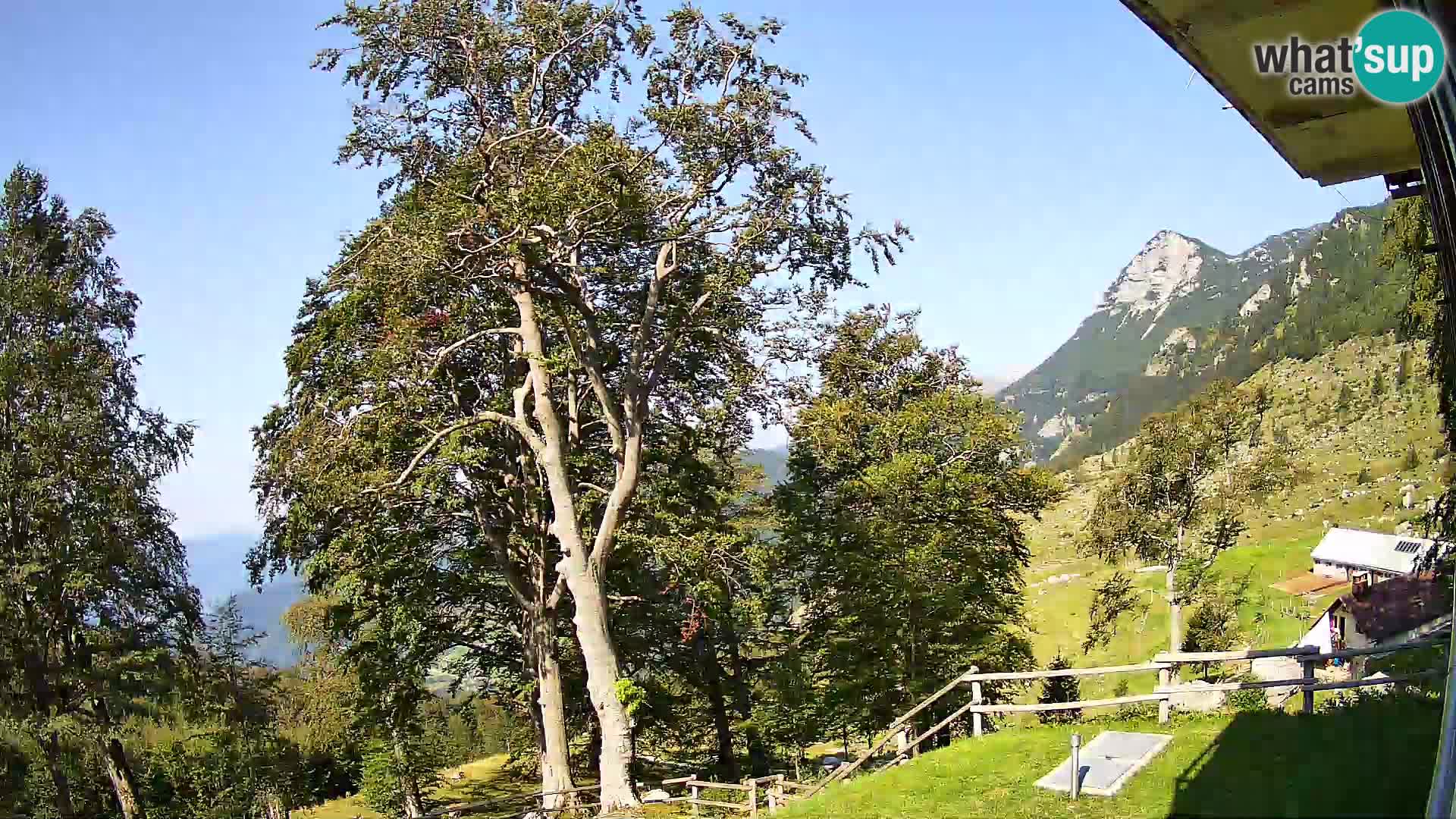 Planina Razor Bergütte Webcam (1315) | Blick auf Tolminski Migovec