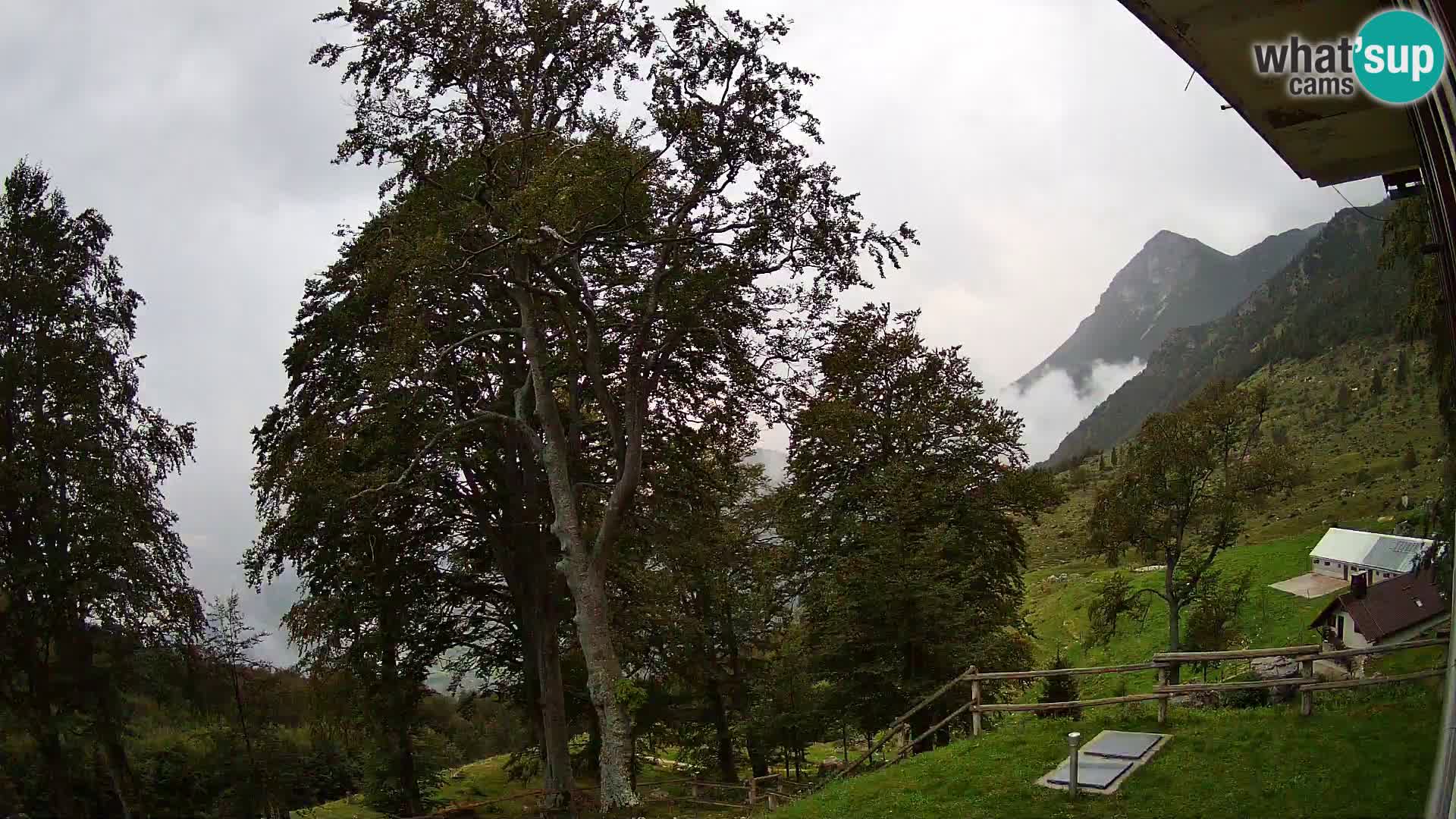 Refuge de la montagne Planina Razor caméra en direct (1315) | vue sur Tolminski Migovec