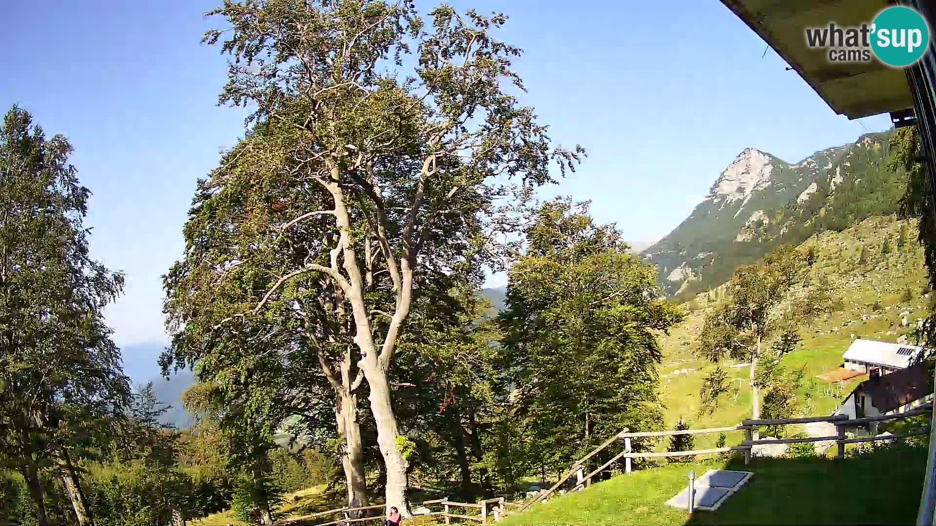 Cámara en vivo de la cabaña de montaña Planina Razor (1315) | vista hacia Tolminski Migovec