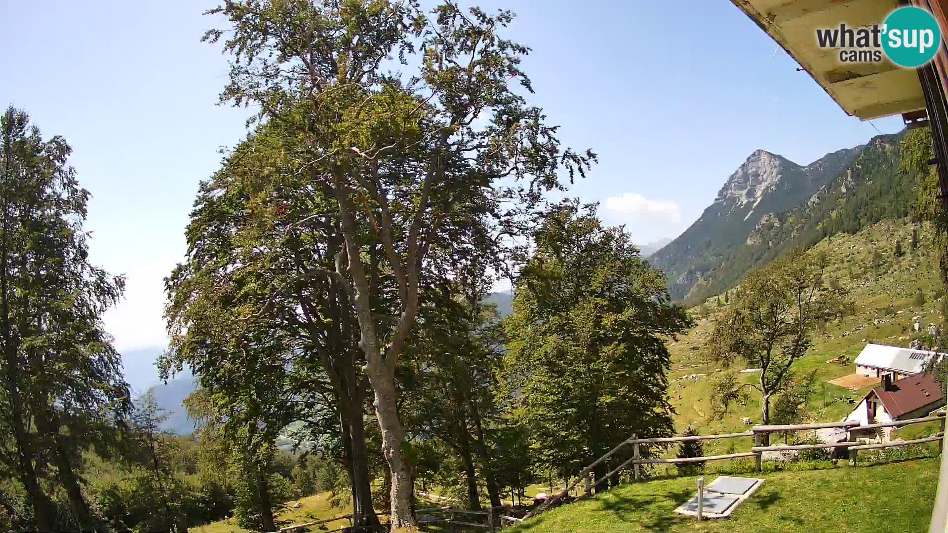 Cámara en vivo de la cabaña de montaña Planina Razor (1315) | vista hacia Tolminski Migovec
