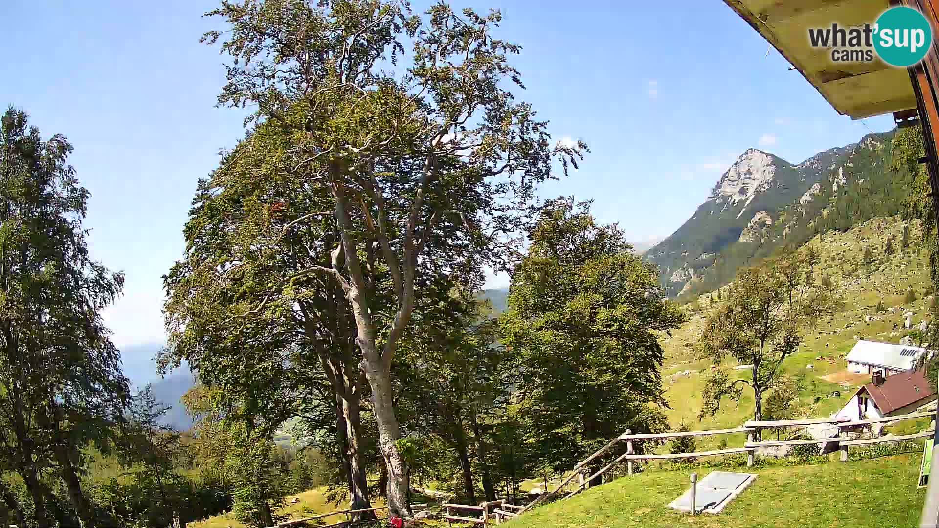 Planina Razor Bergütte Webcam (1315) | Blick auf Tolminski Migovec