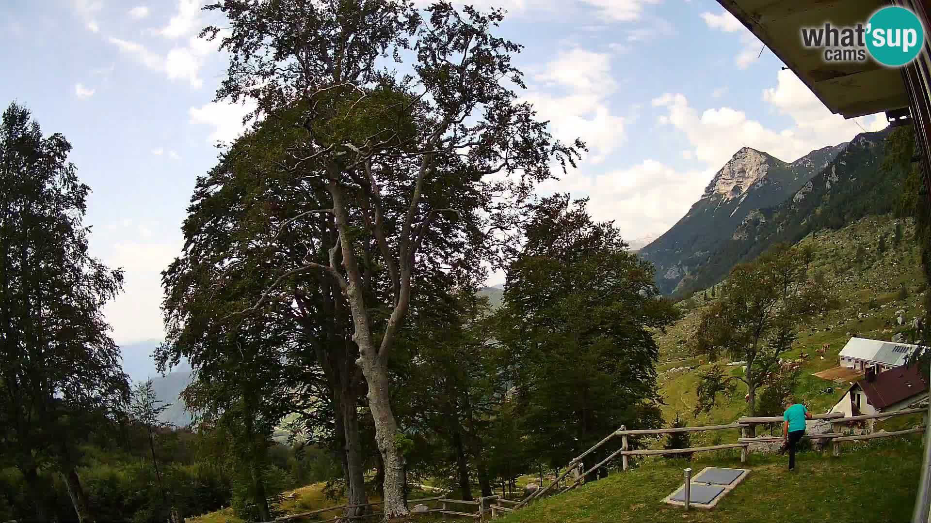 Planina Razor Bergütte Webcam (1315) | Blick auf Tolminski Migovec