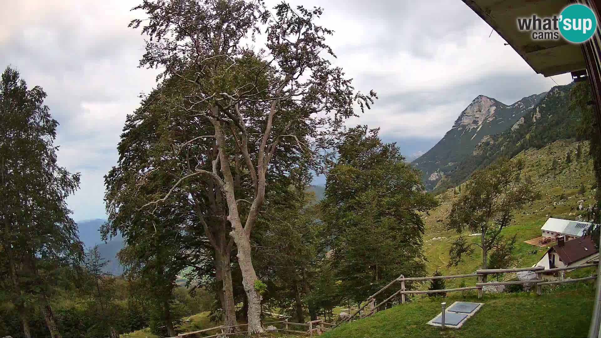 Planina Razor Mountain Hut live cam (1315) | view to Tolminski Migovec