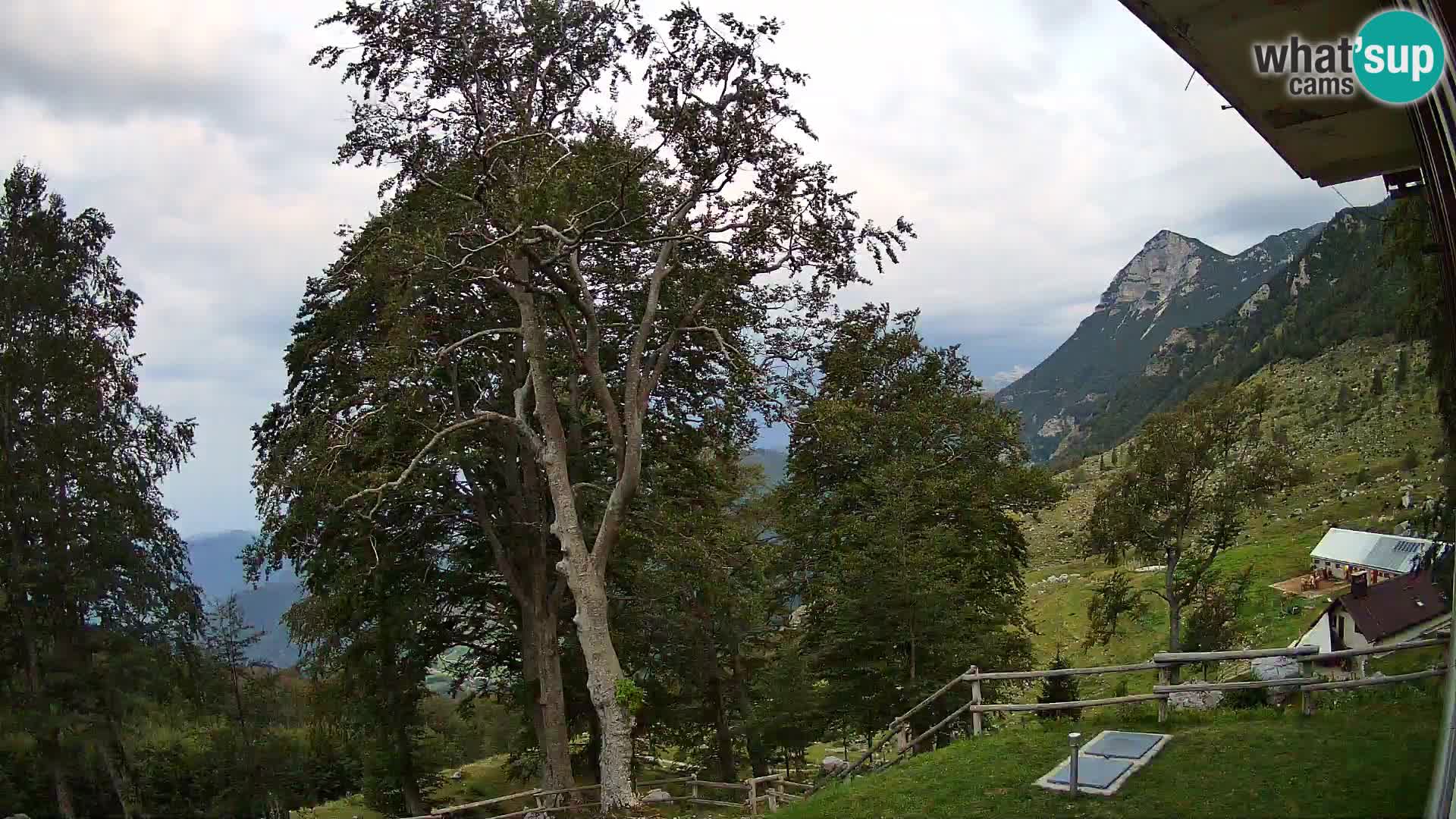 Planina Razor Mountain Hut live cam (1315) | view to Tolminski Migovec