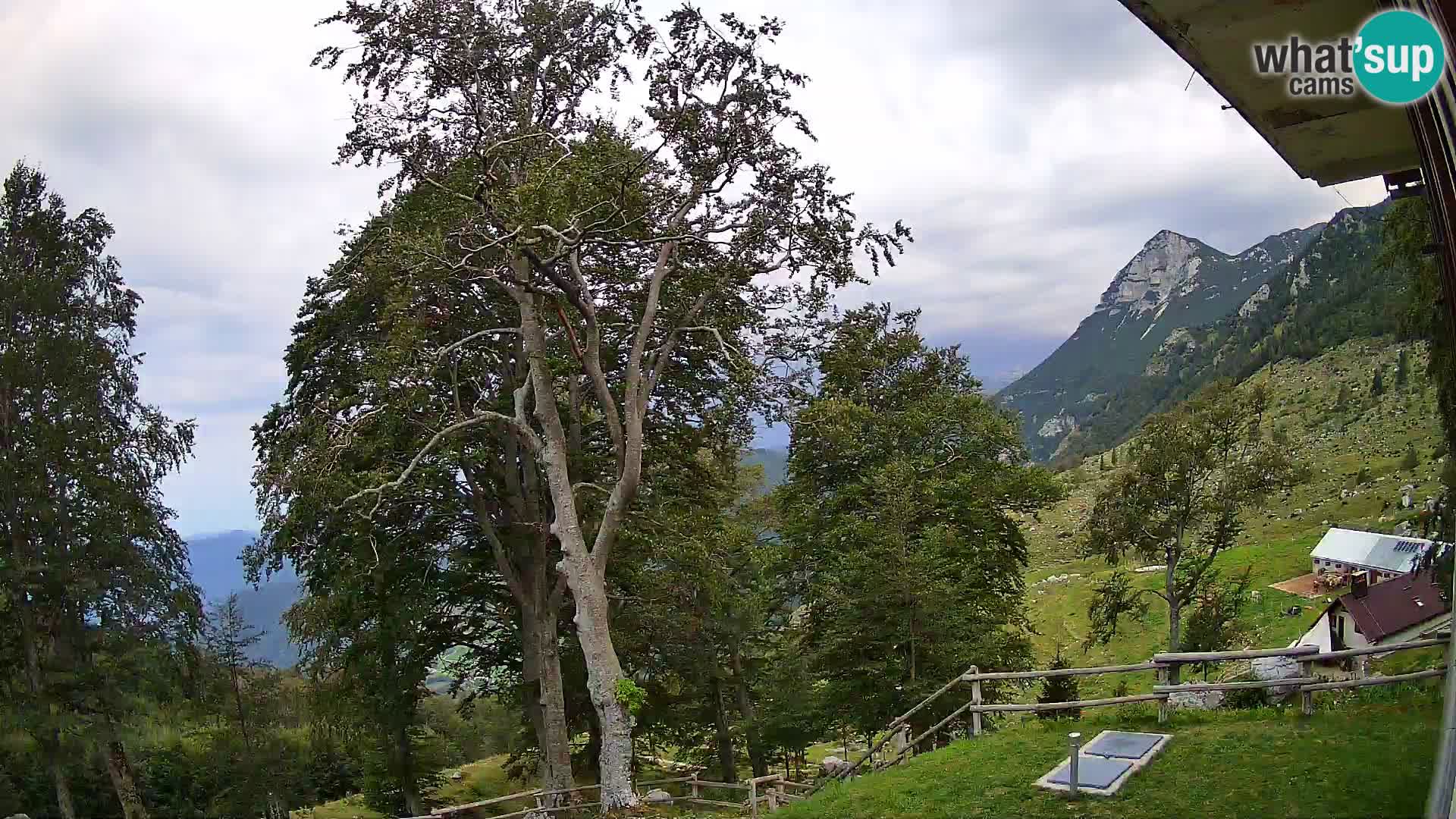 Planina Razor Mountain Hut live cam (1315) | view to Tolminski Migovec