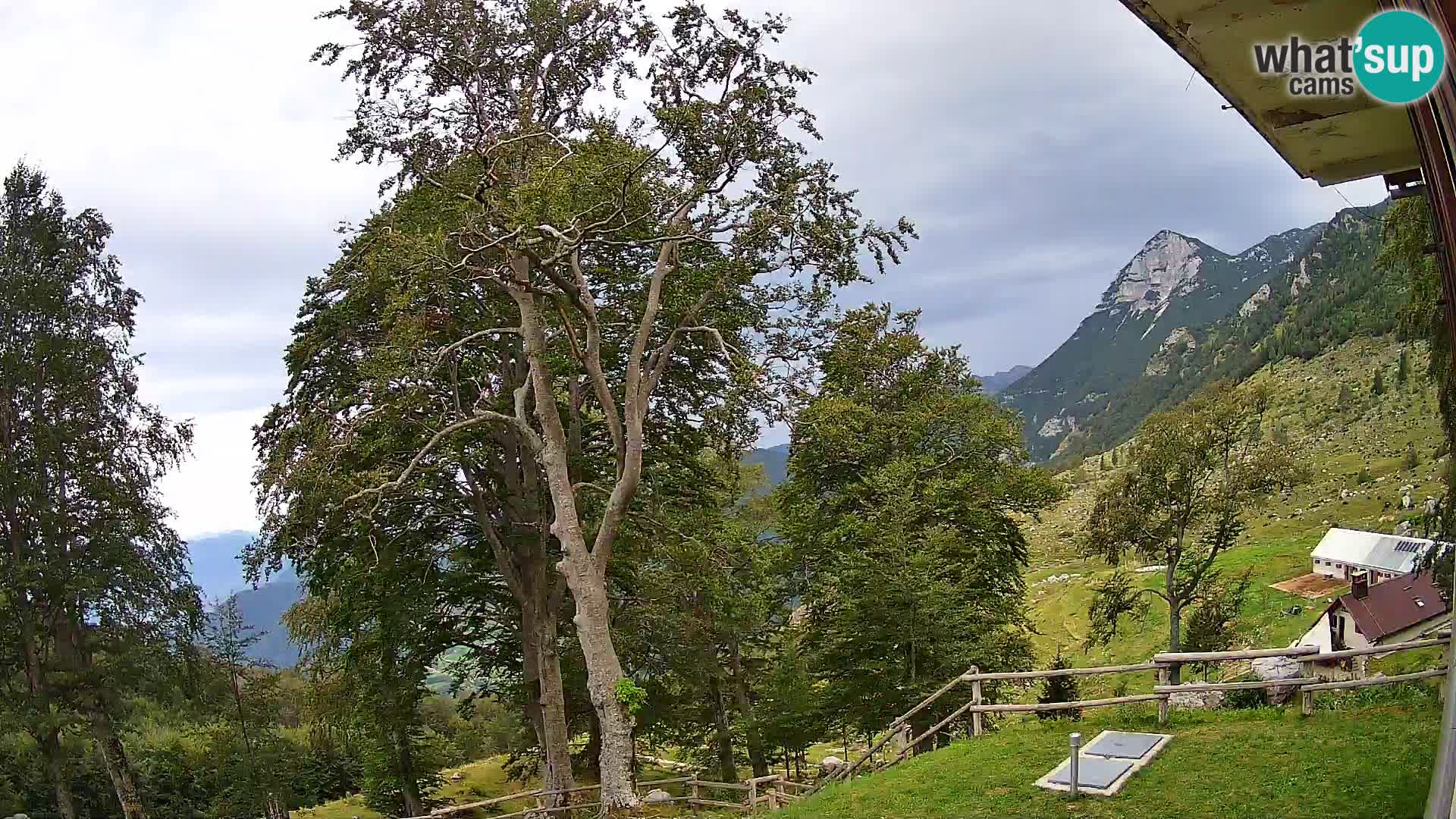 Refuge de la montagne Planina Razor caméra en direct (1315) | vue sur Tolminski Migovec